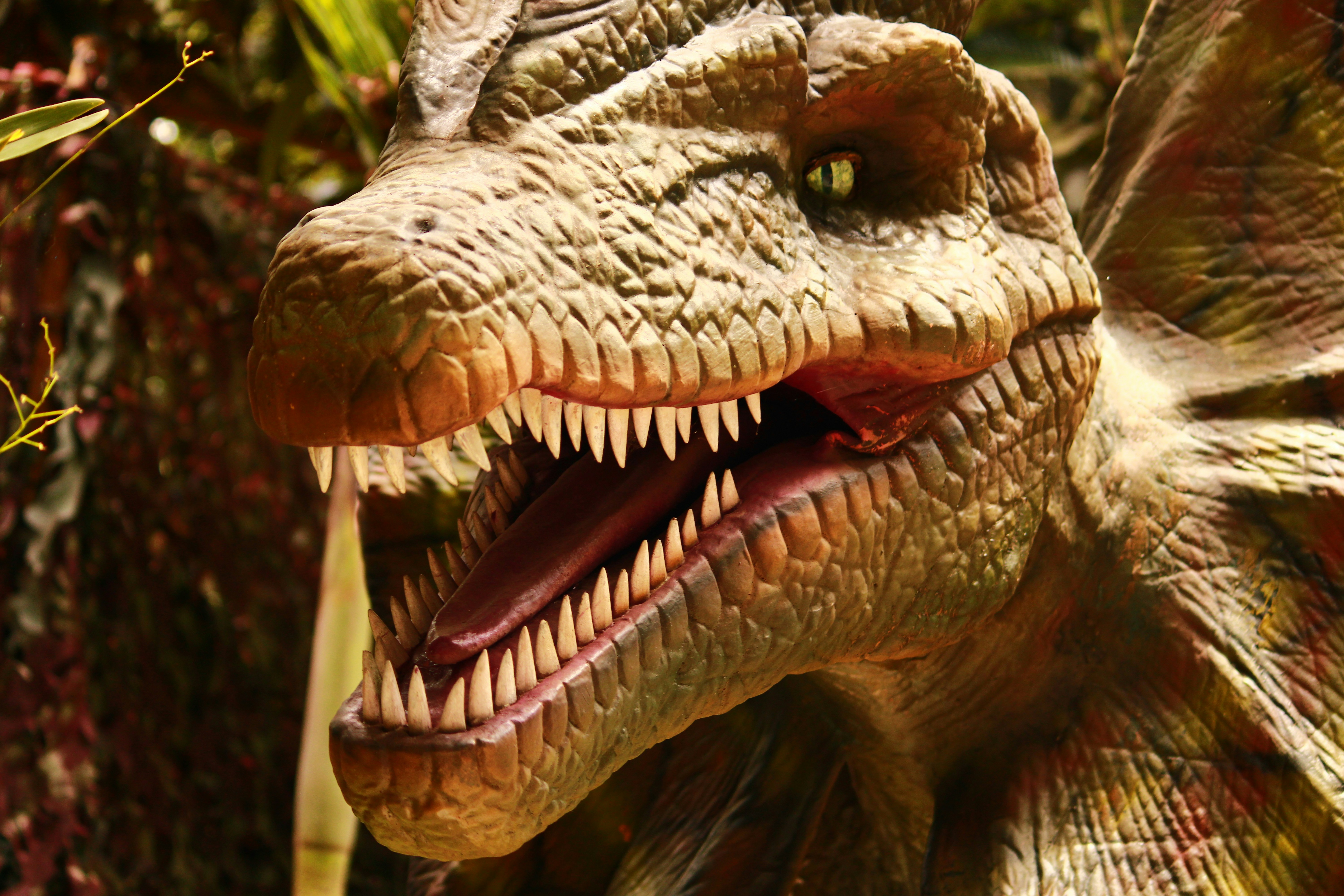 Photo by iamblondfox