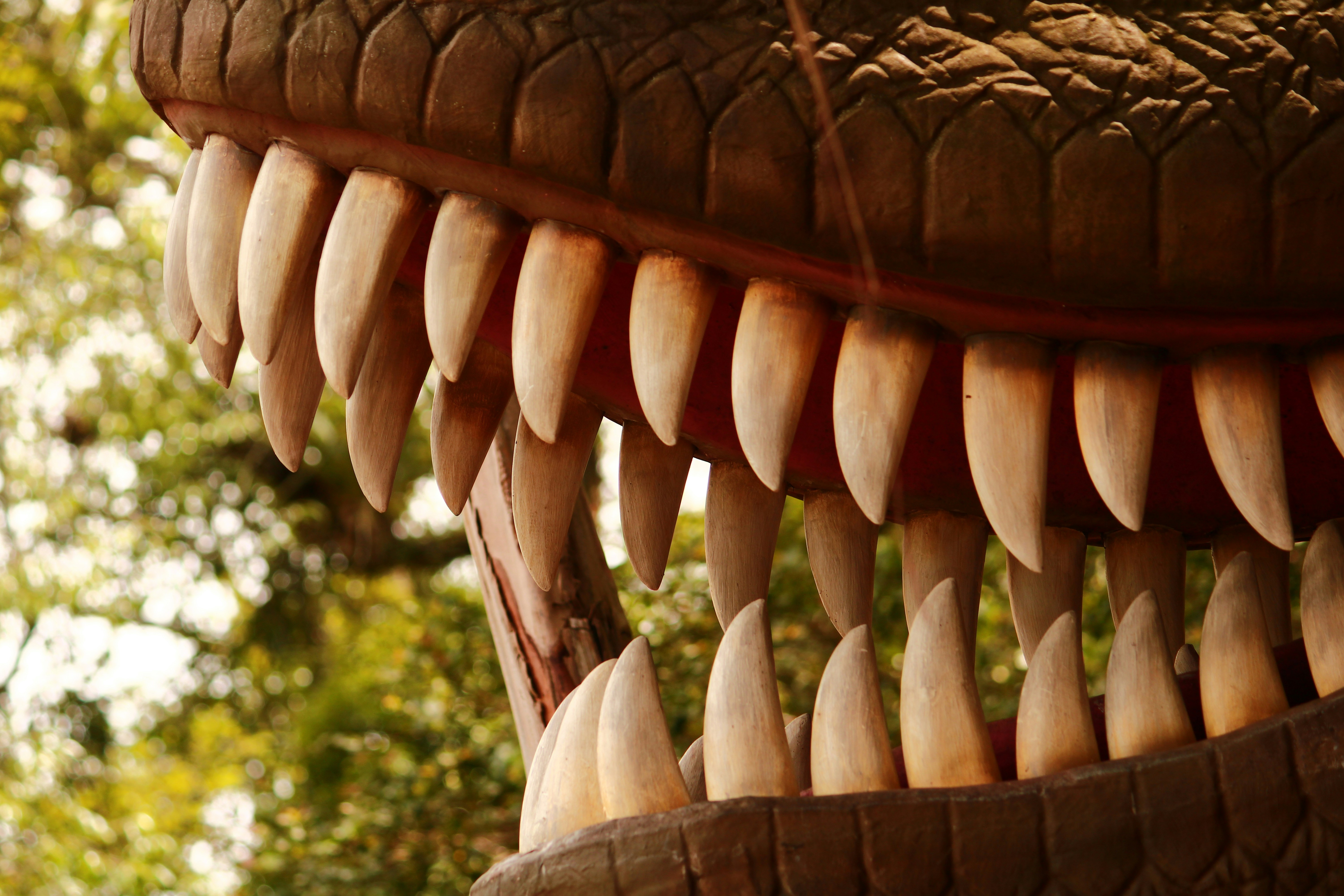 Photo by iamblondfox