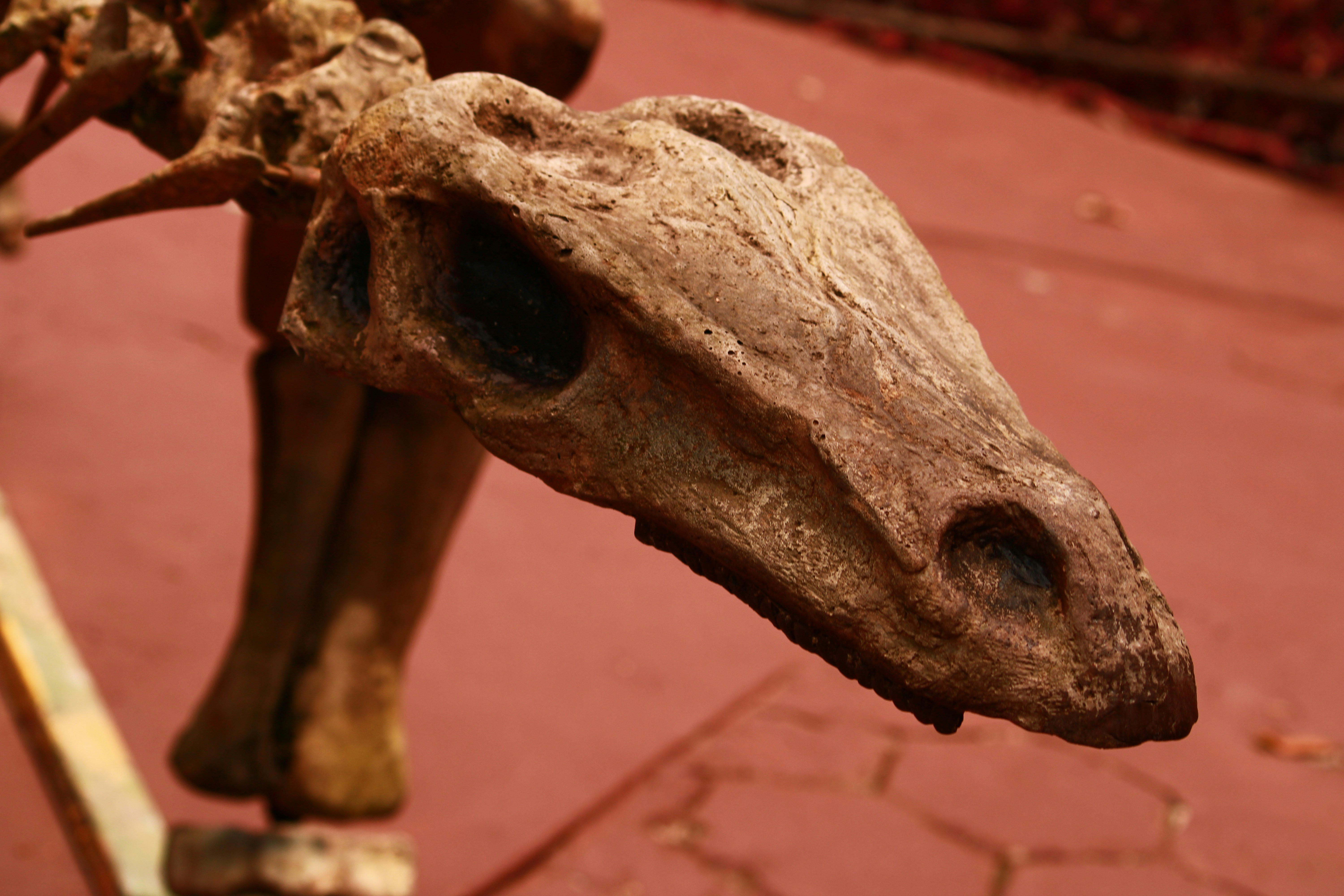 Photo by iamblondfox