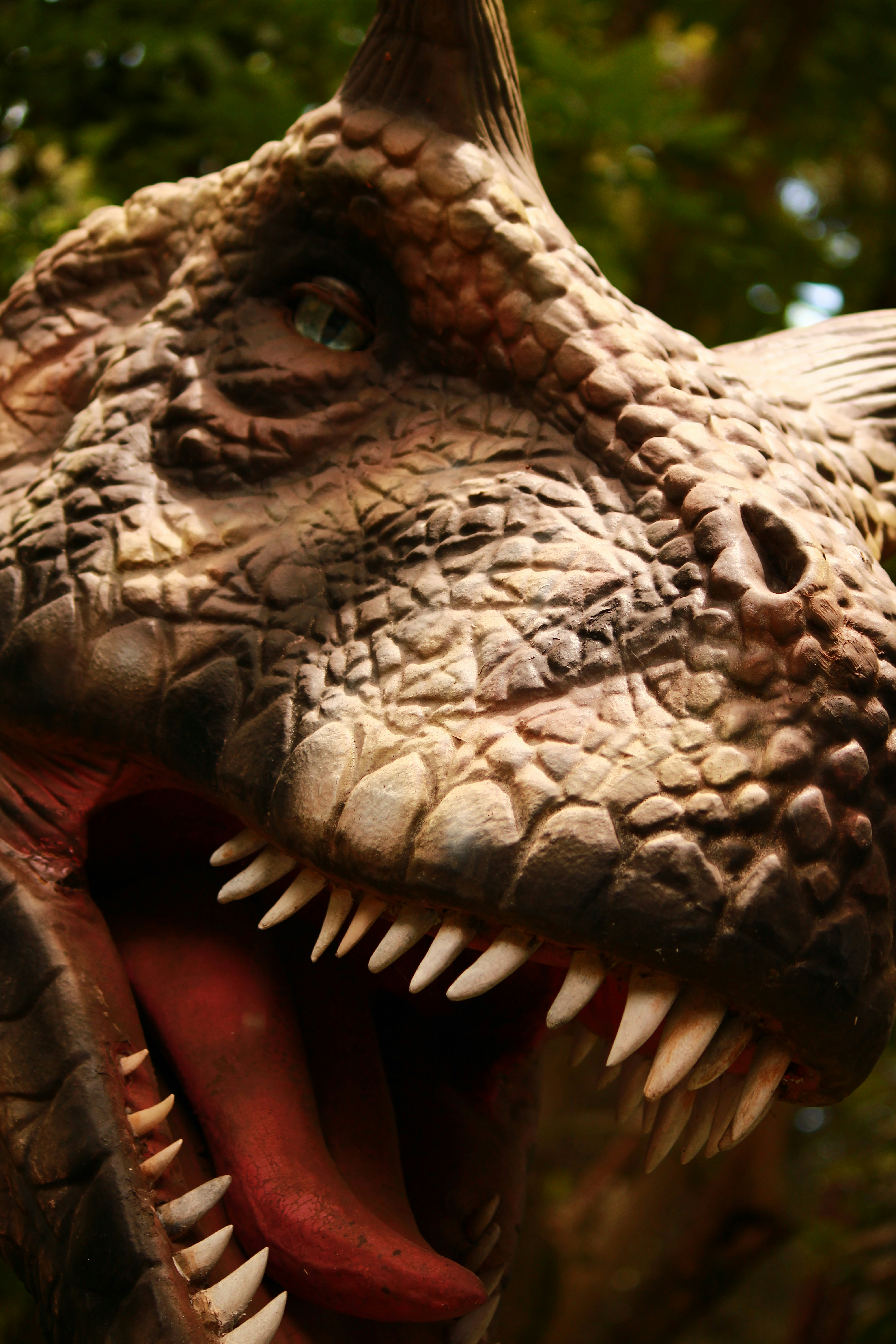 Photo by iamblondfox