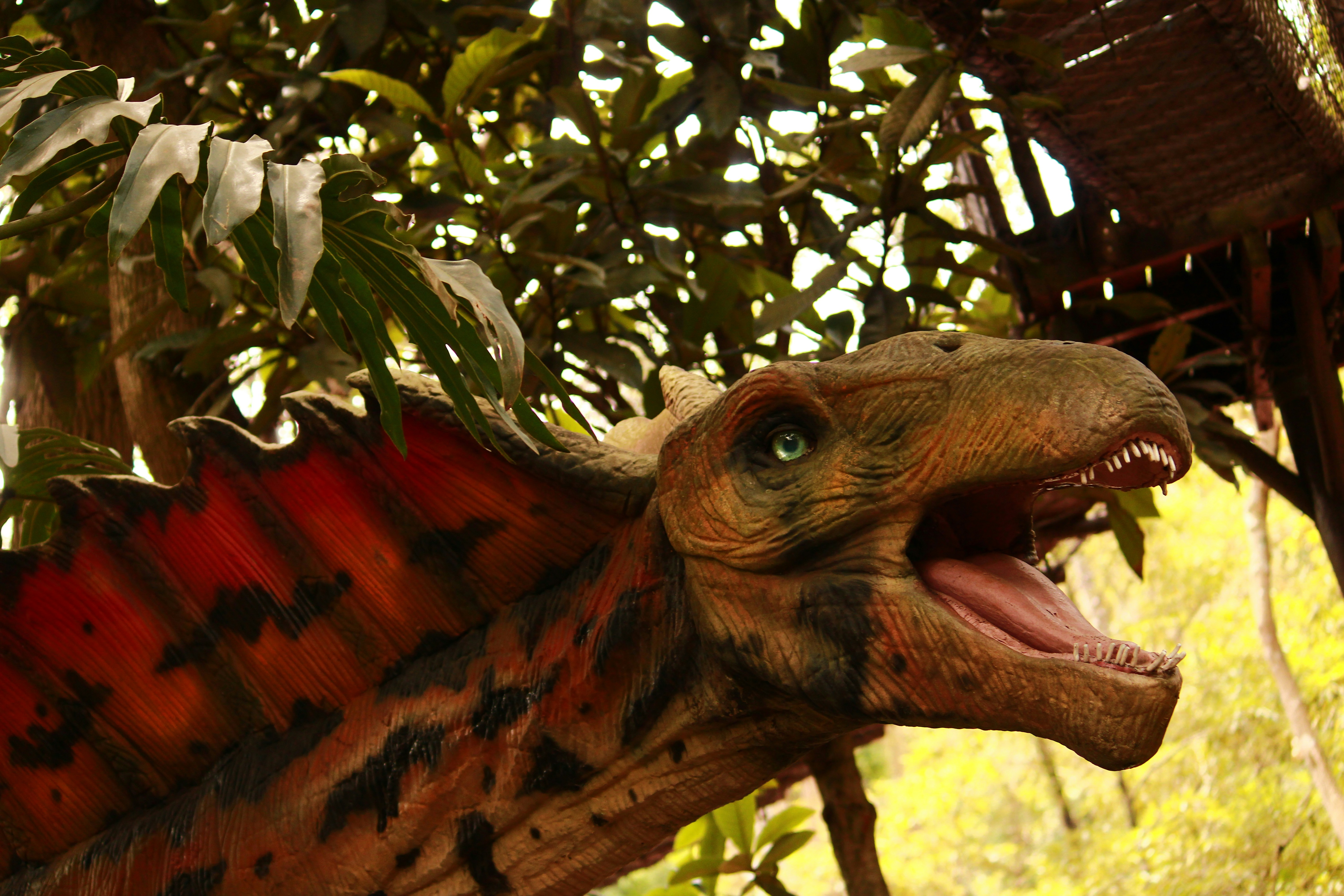 A close up of a dinosaur with its mouth open