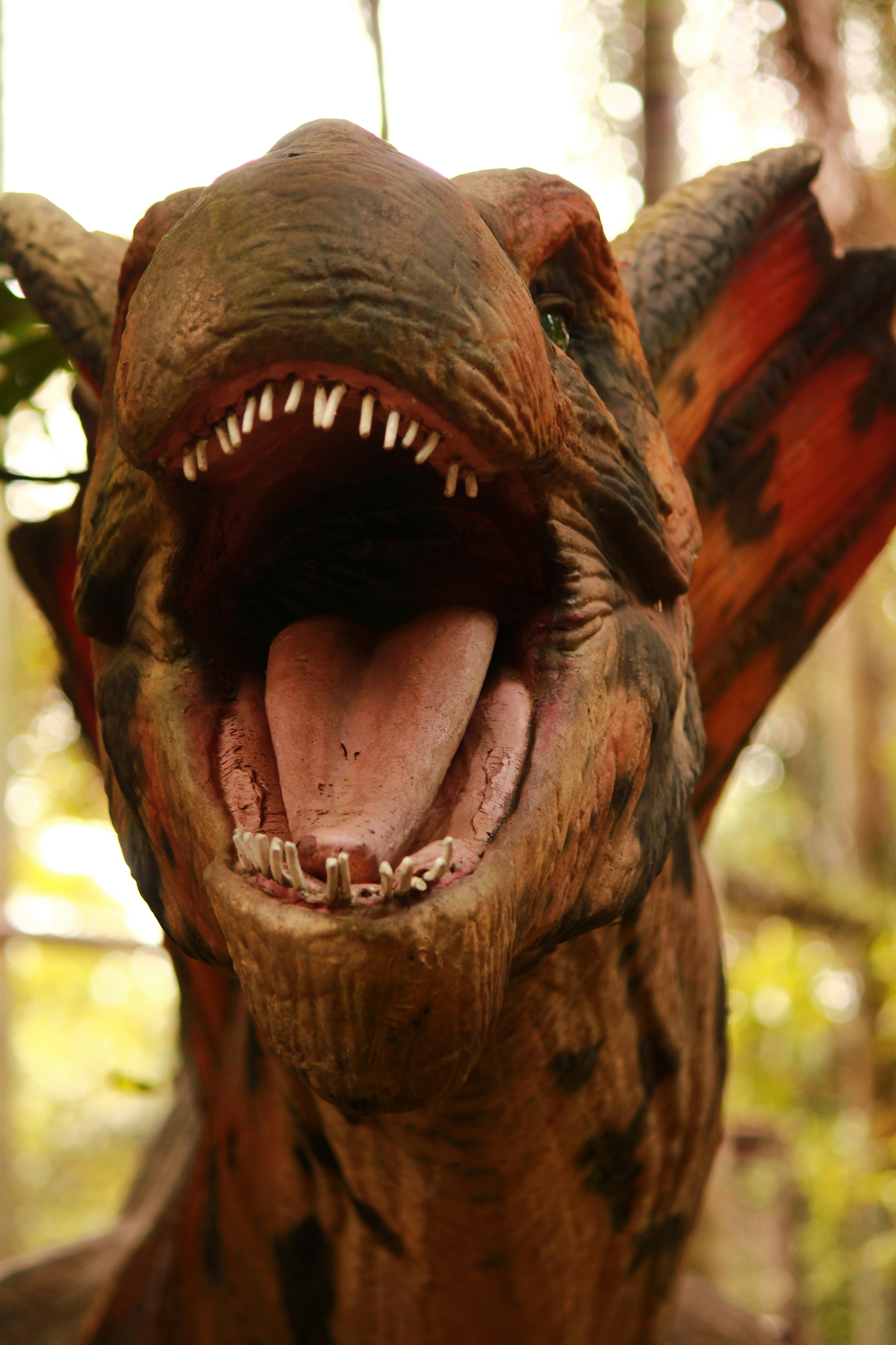 Photo by iamblondfox