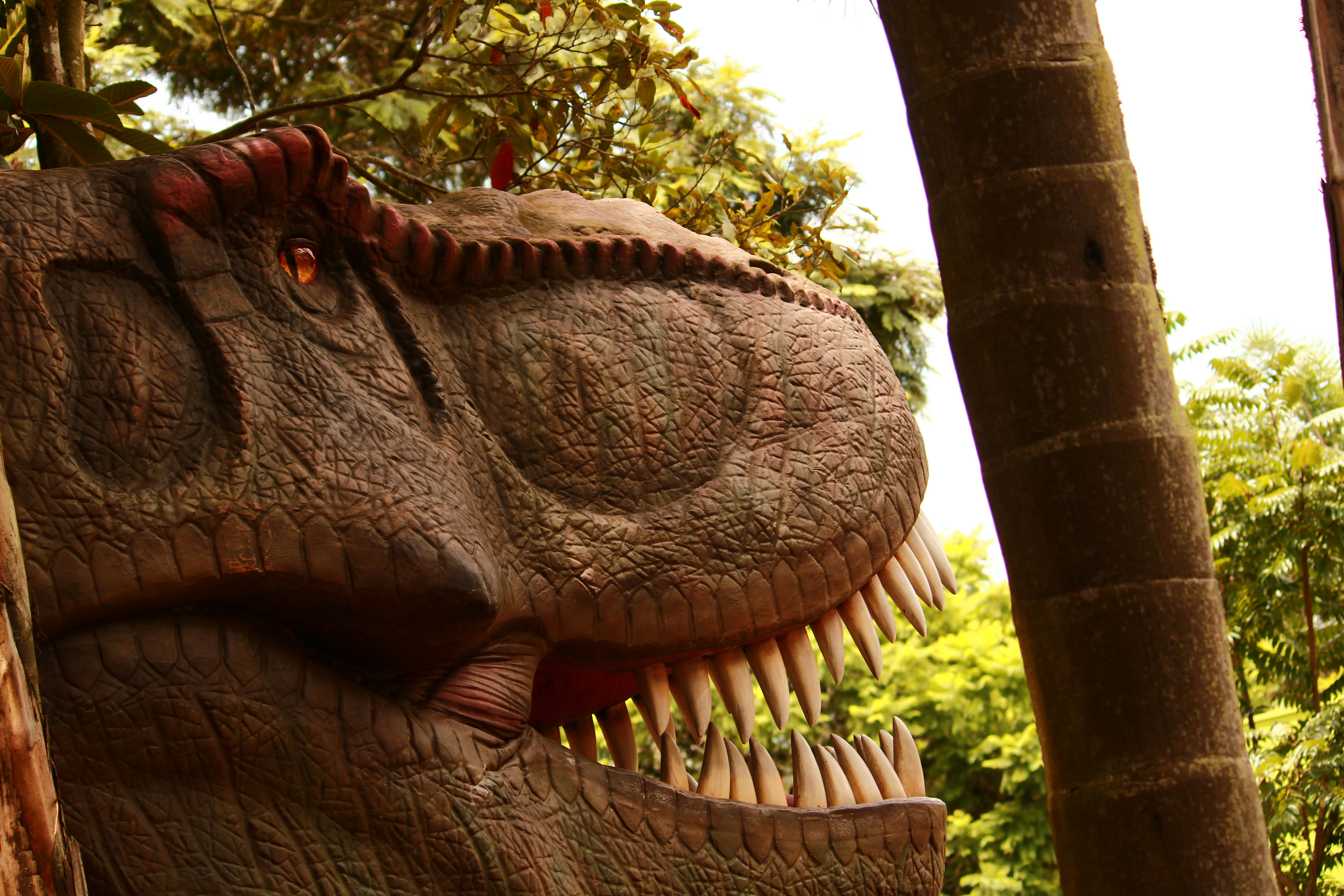 Photo by iamblondfox