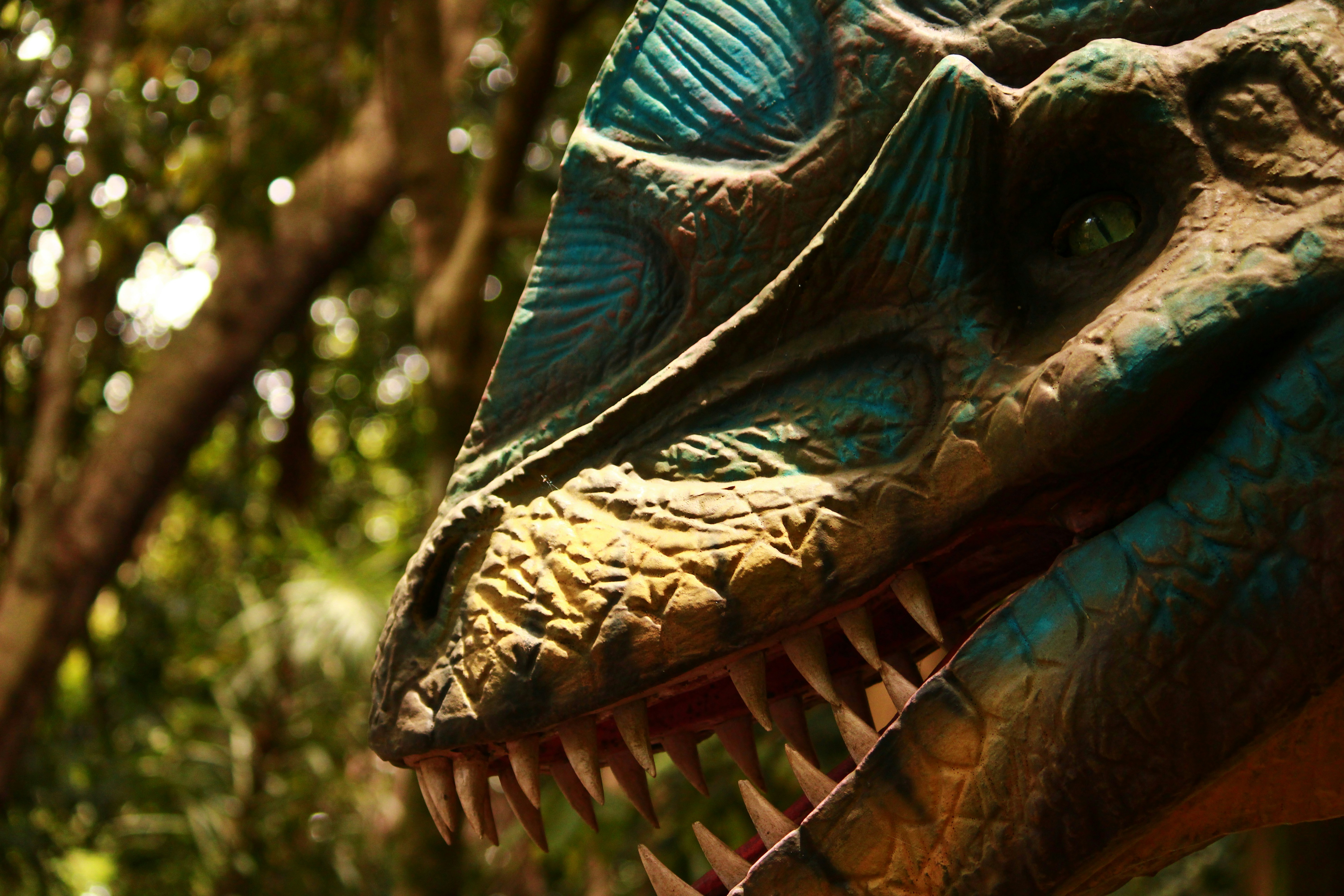 Photo by iamblondfox