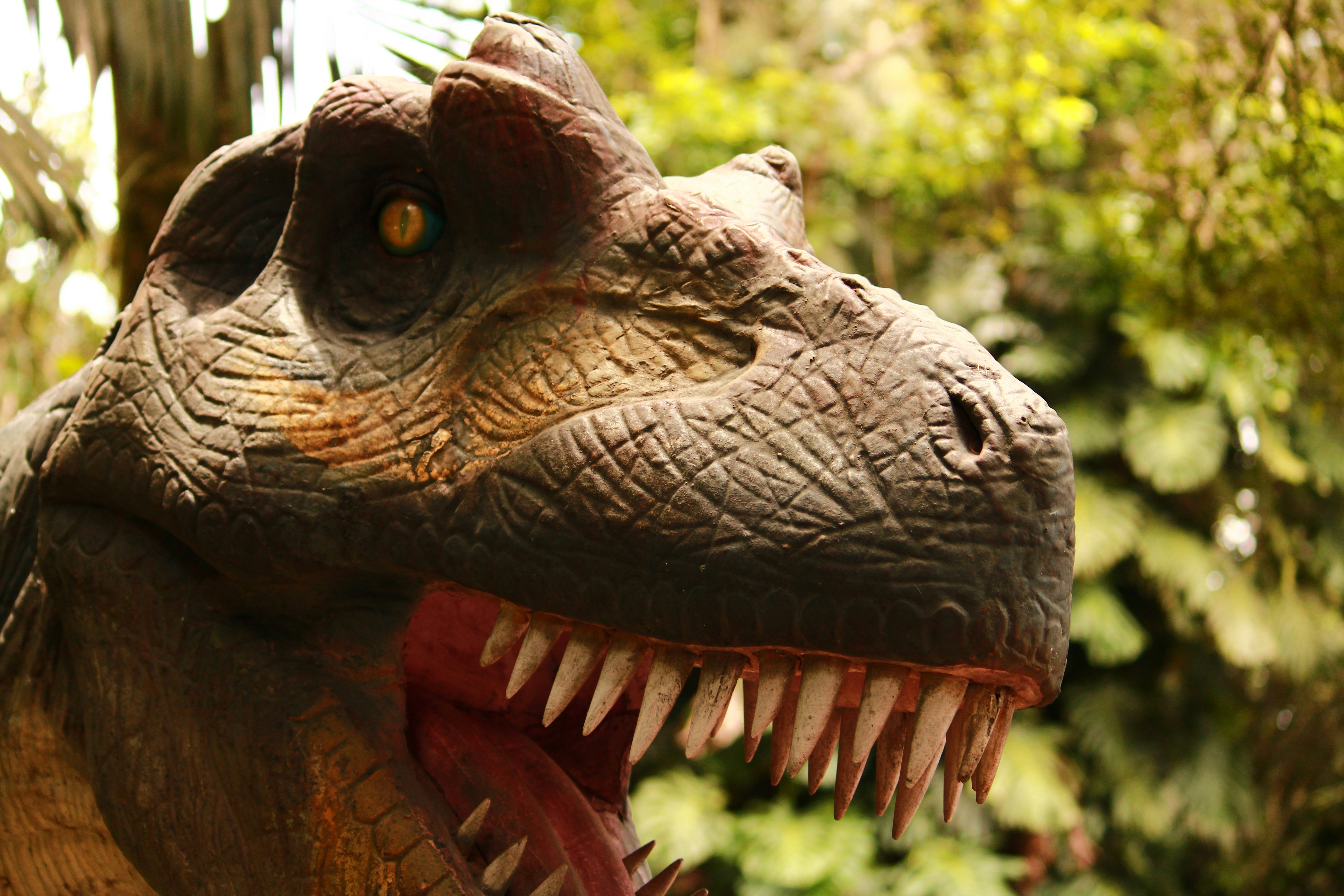 Photo by iamblondfox