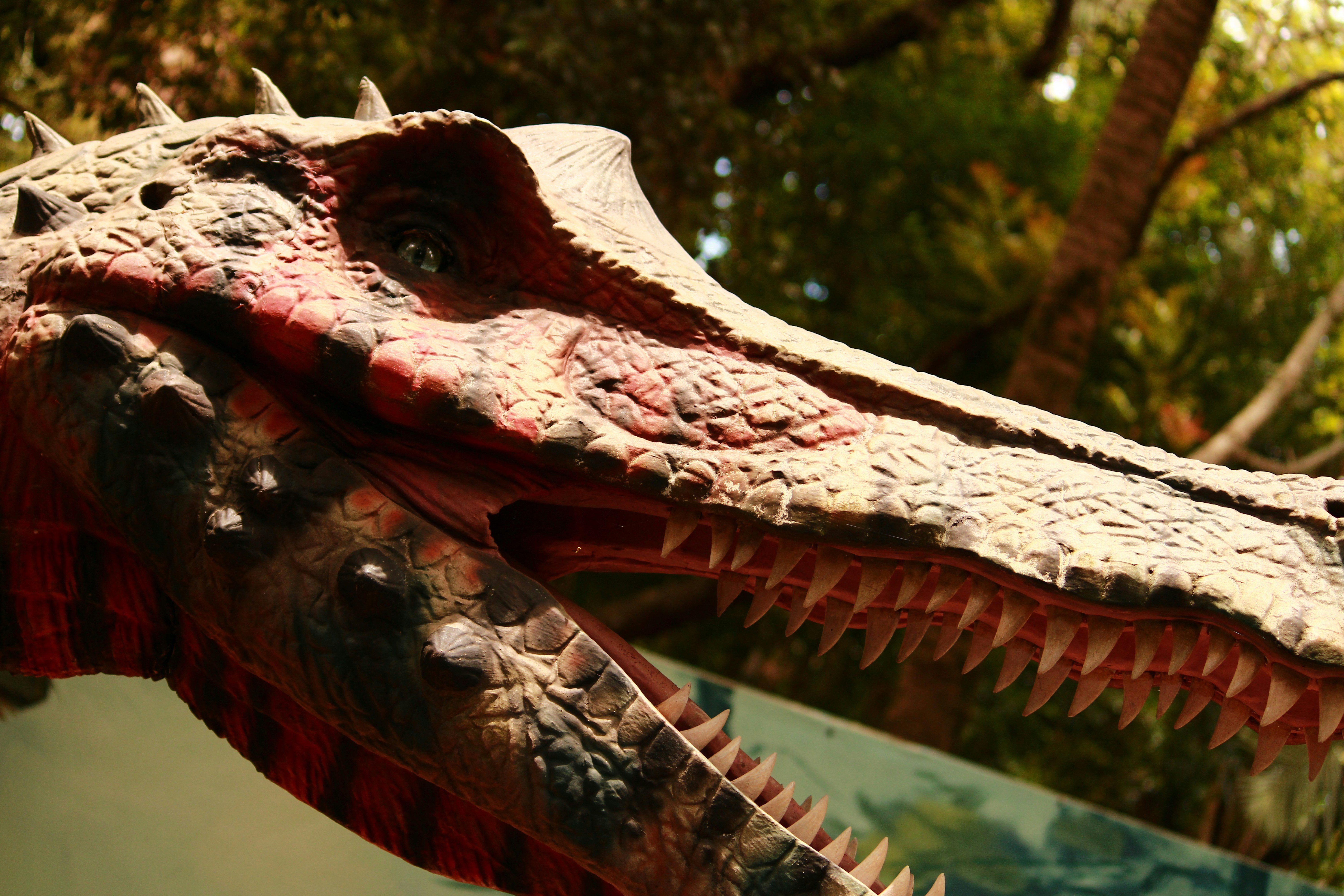 Photo by iamblondfox