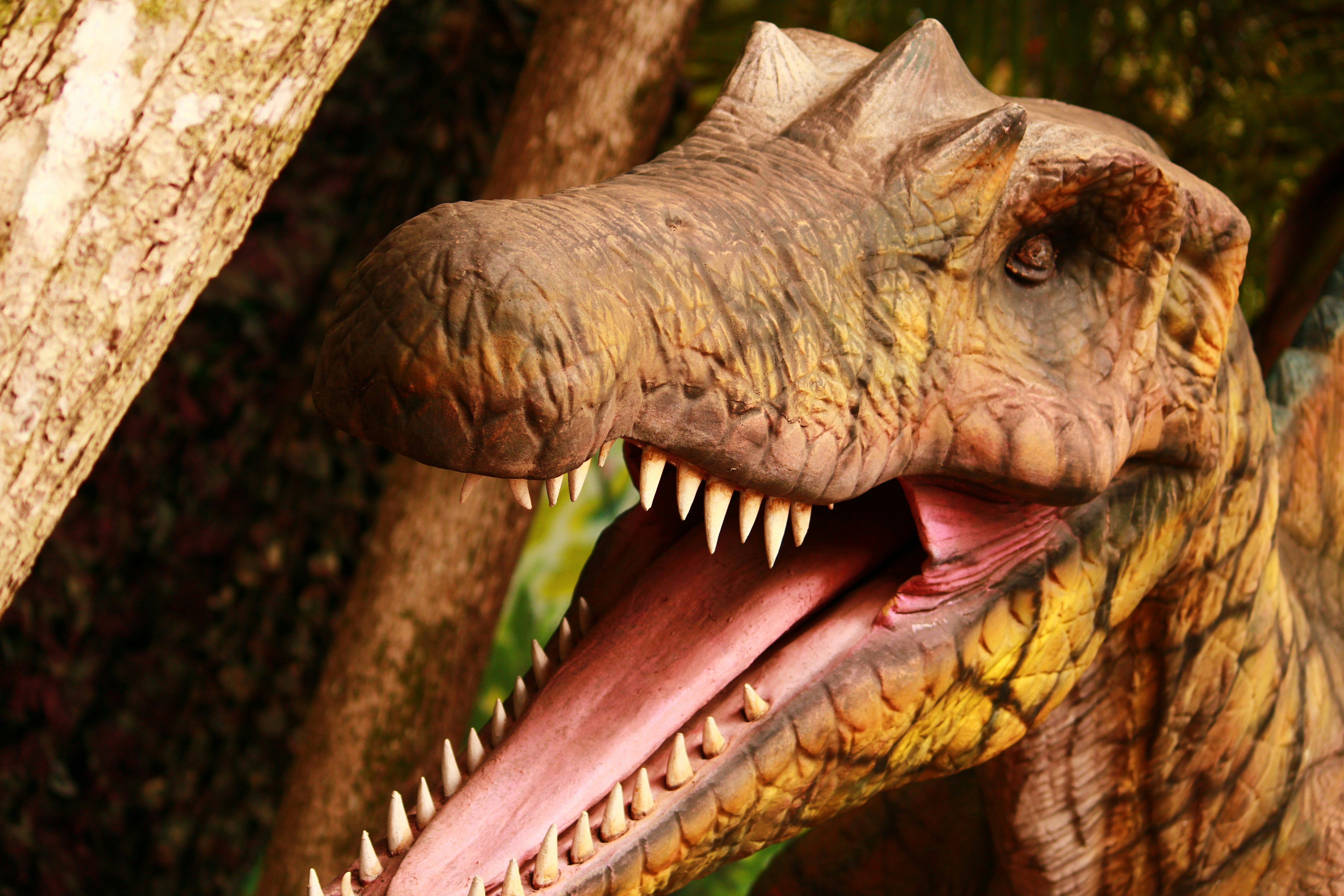 Photo by iamblondfox