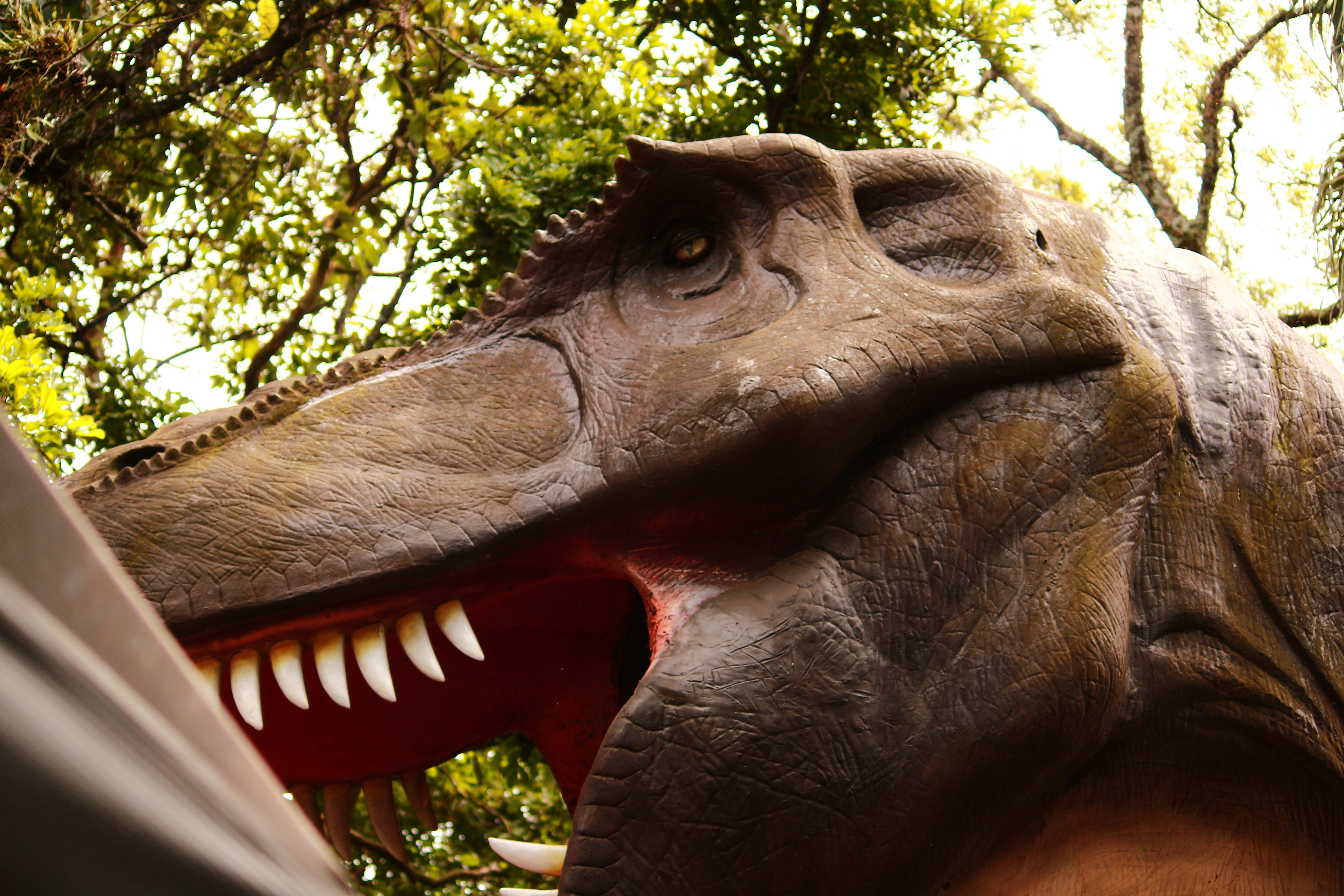 Photo by iamblondfox