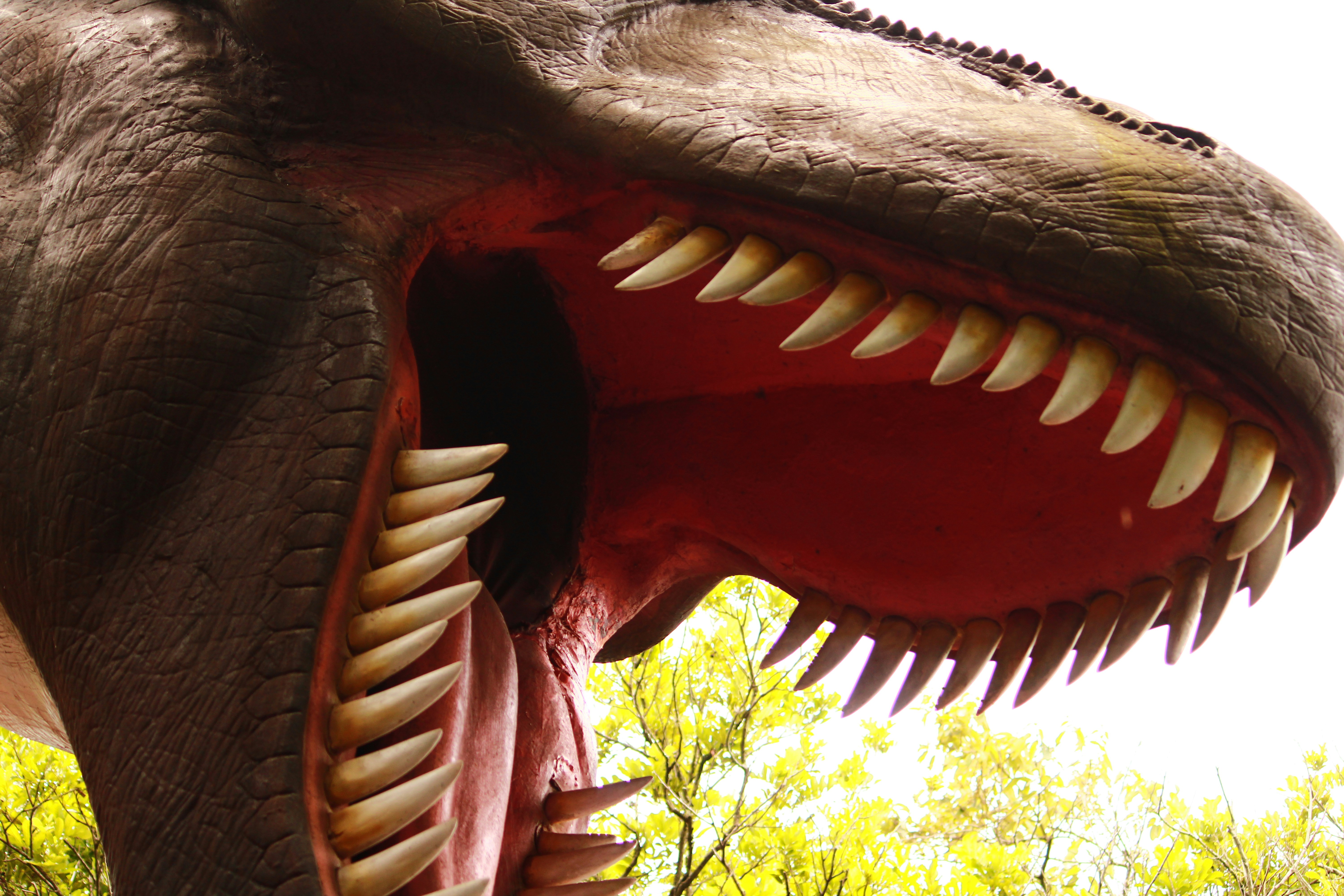 Photo by iamblondfox