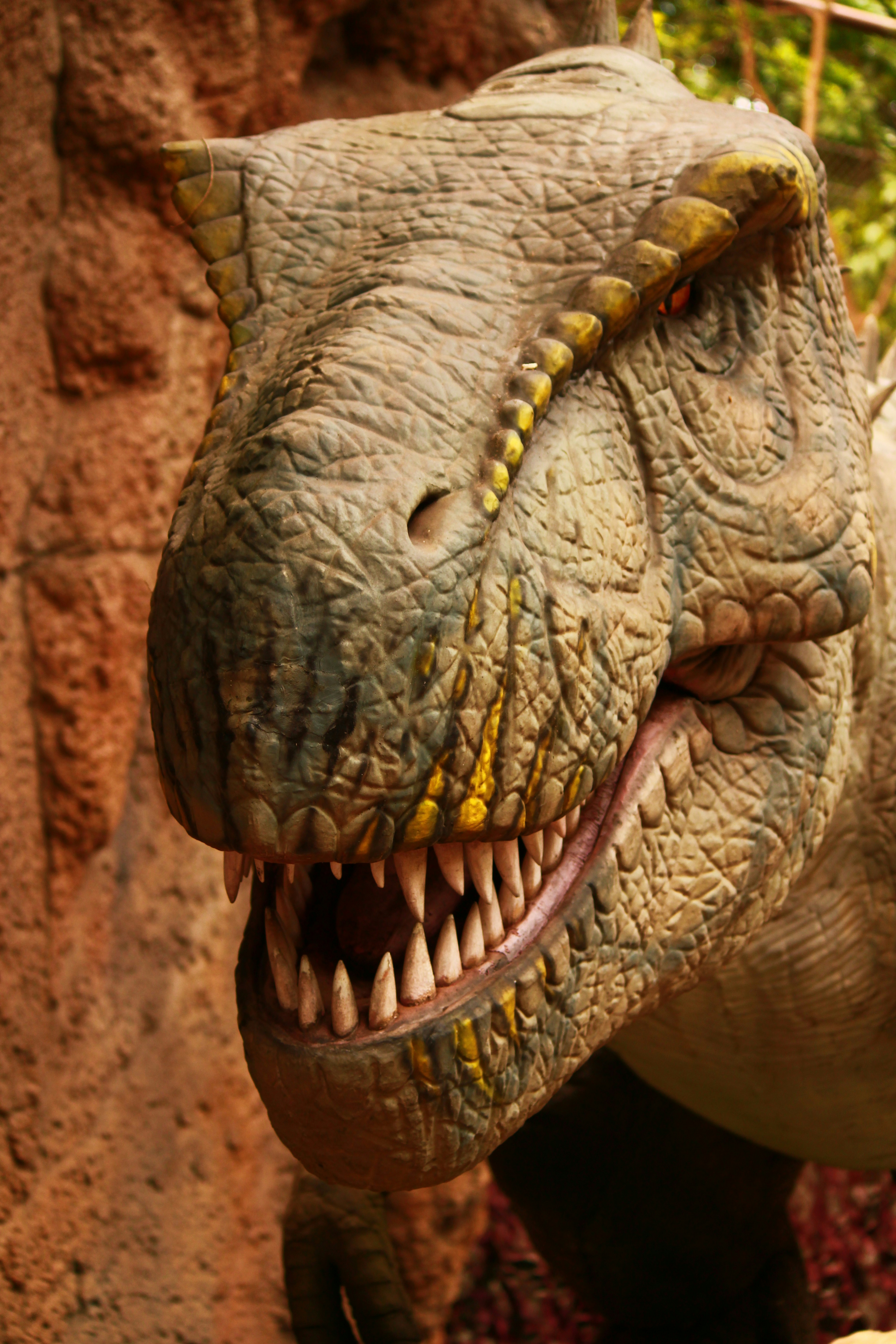 Photo by iamblondfox