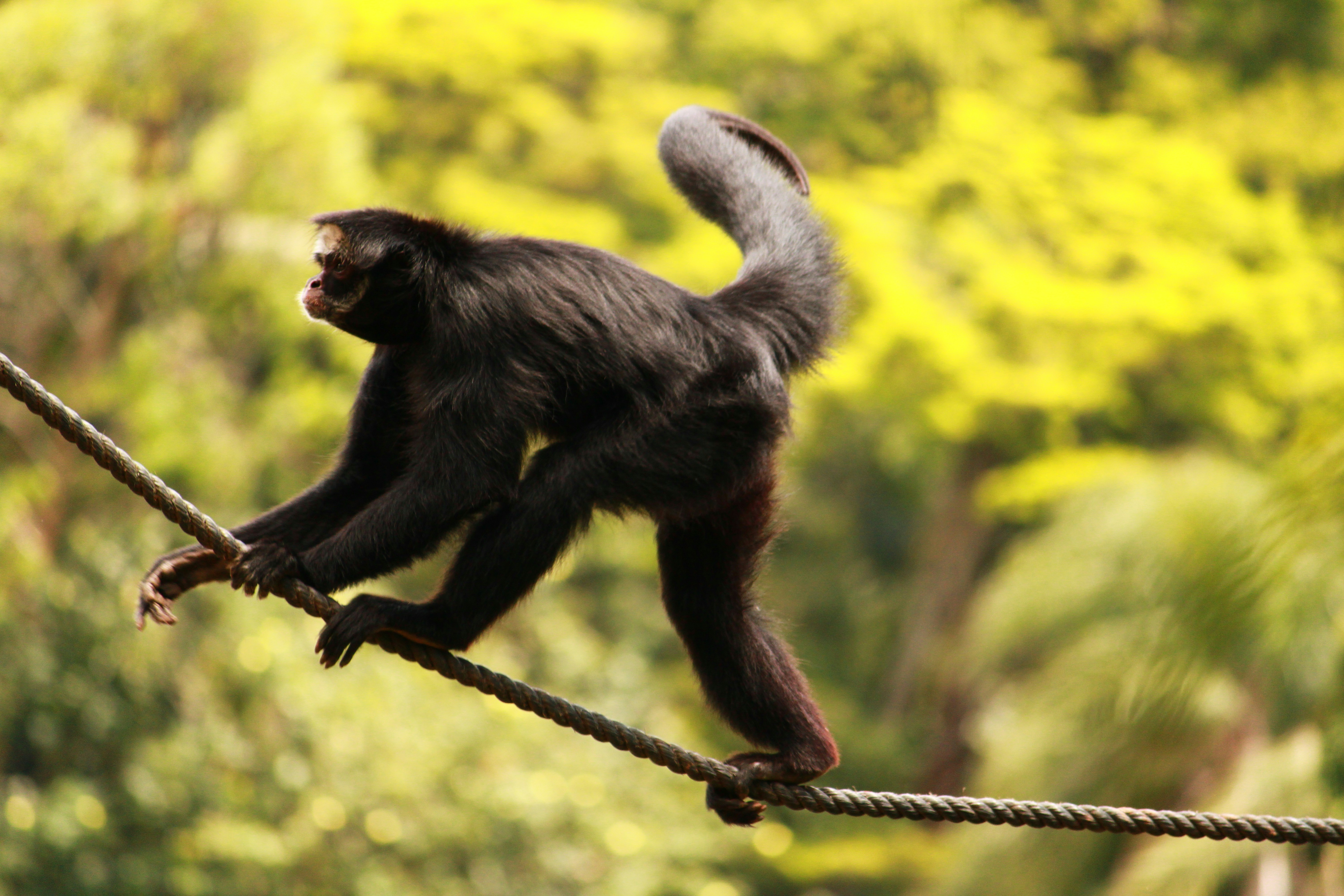 Photo by iamblondfox