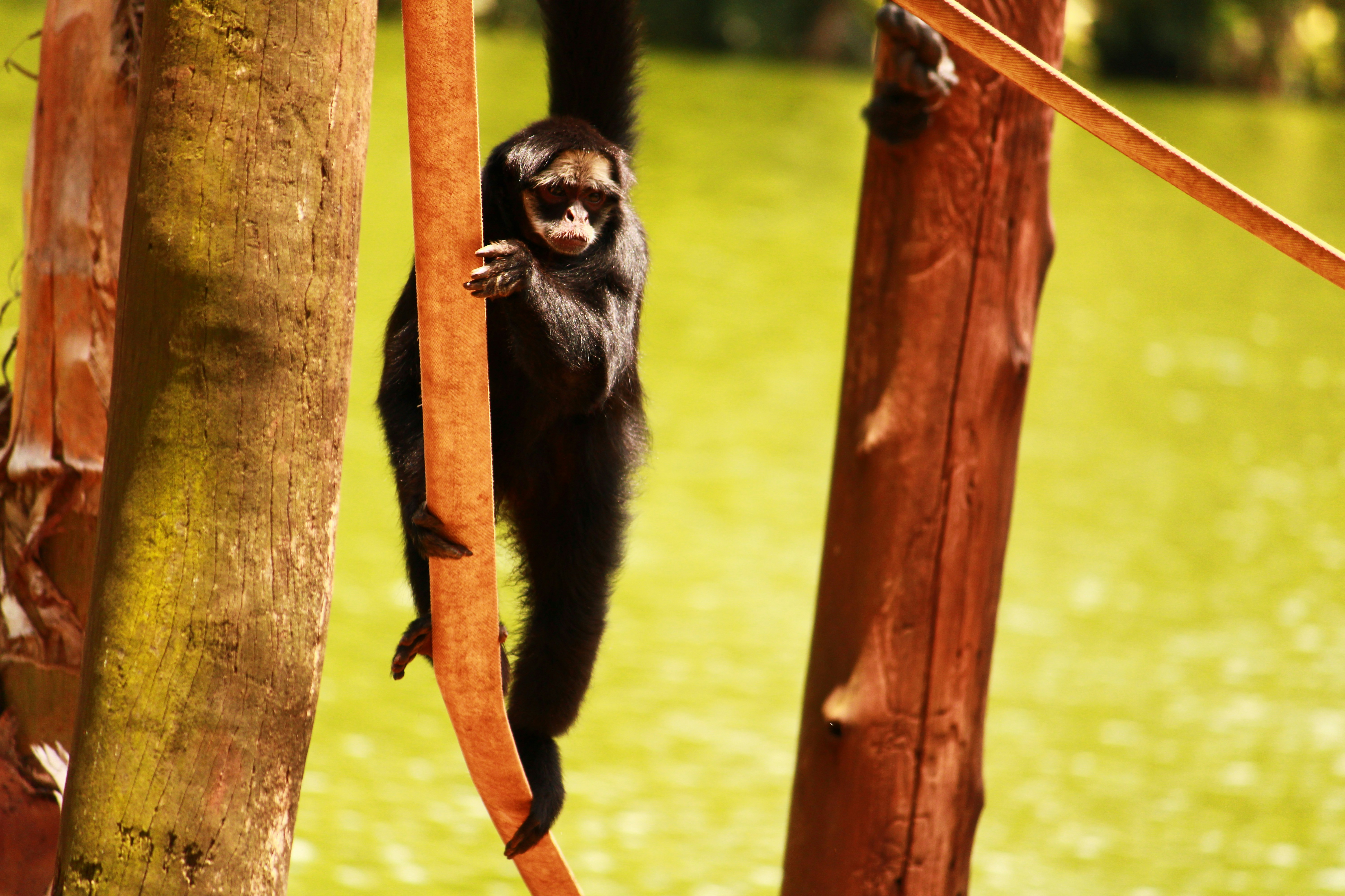 Photo by iamblondfox