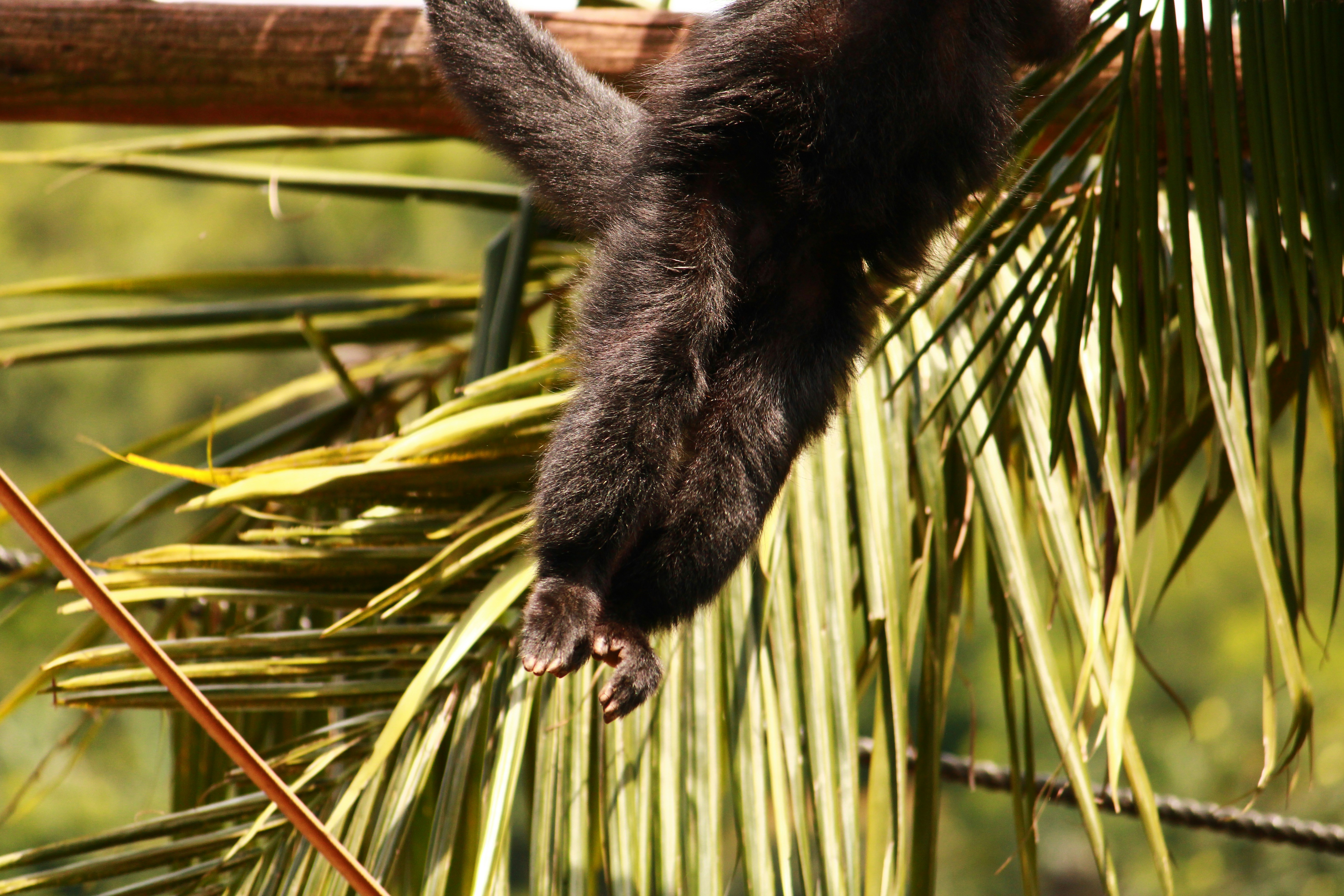 Photo by iamblondfox