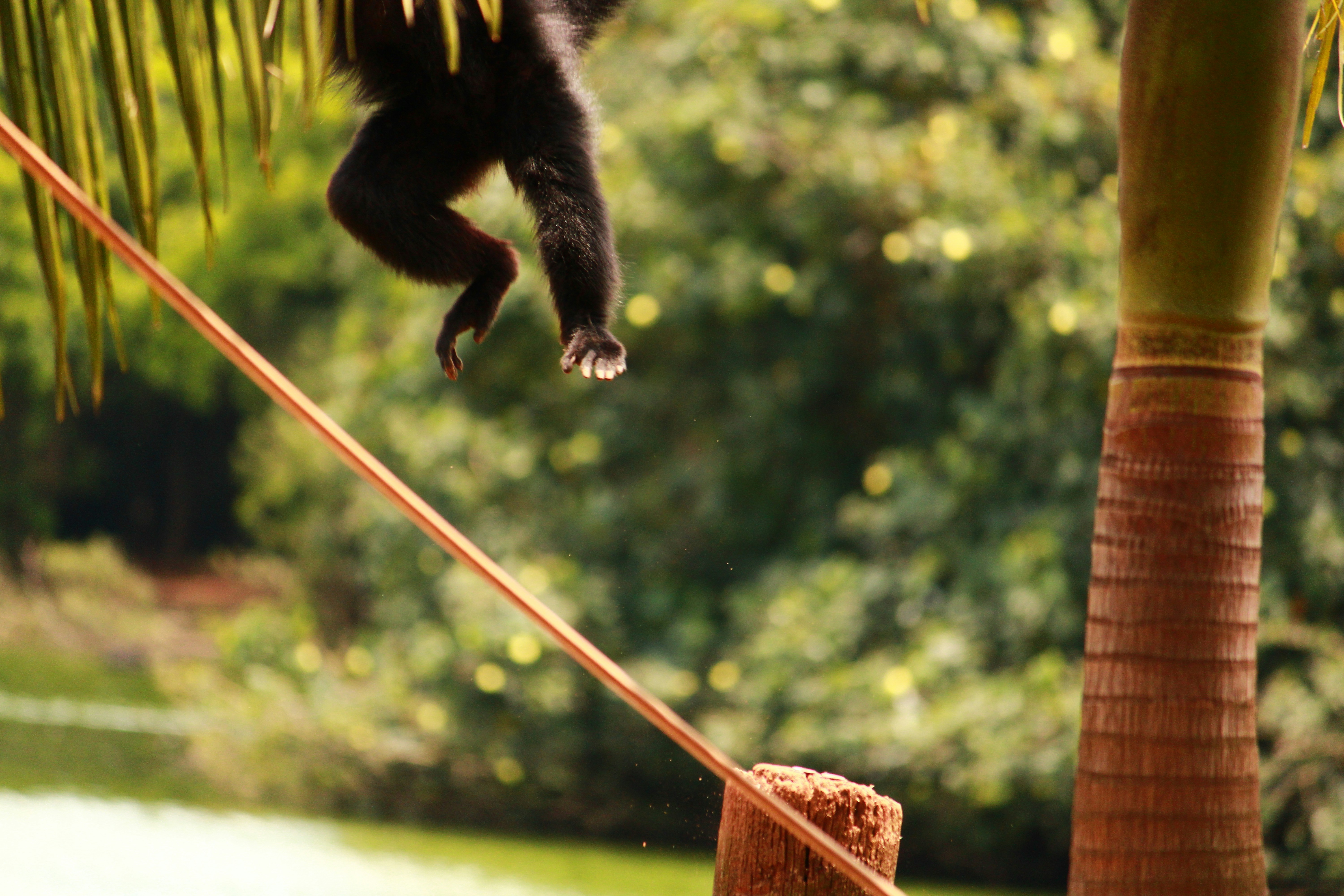 Photo by iamblondfox