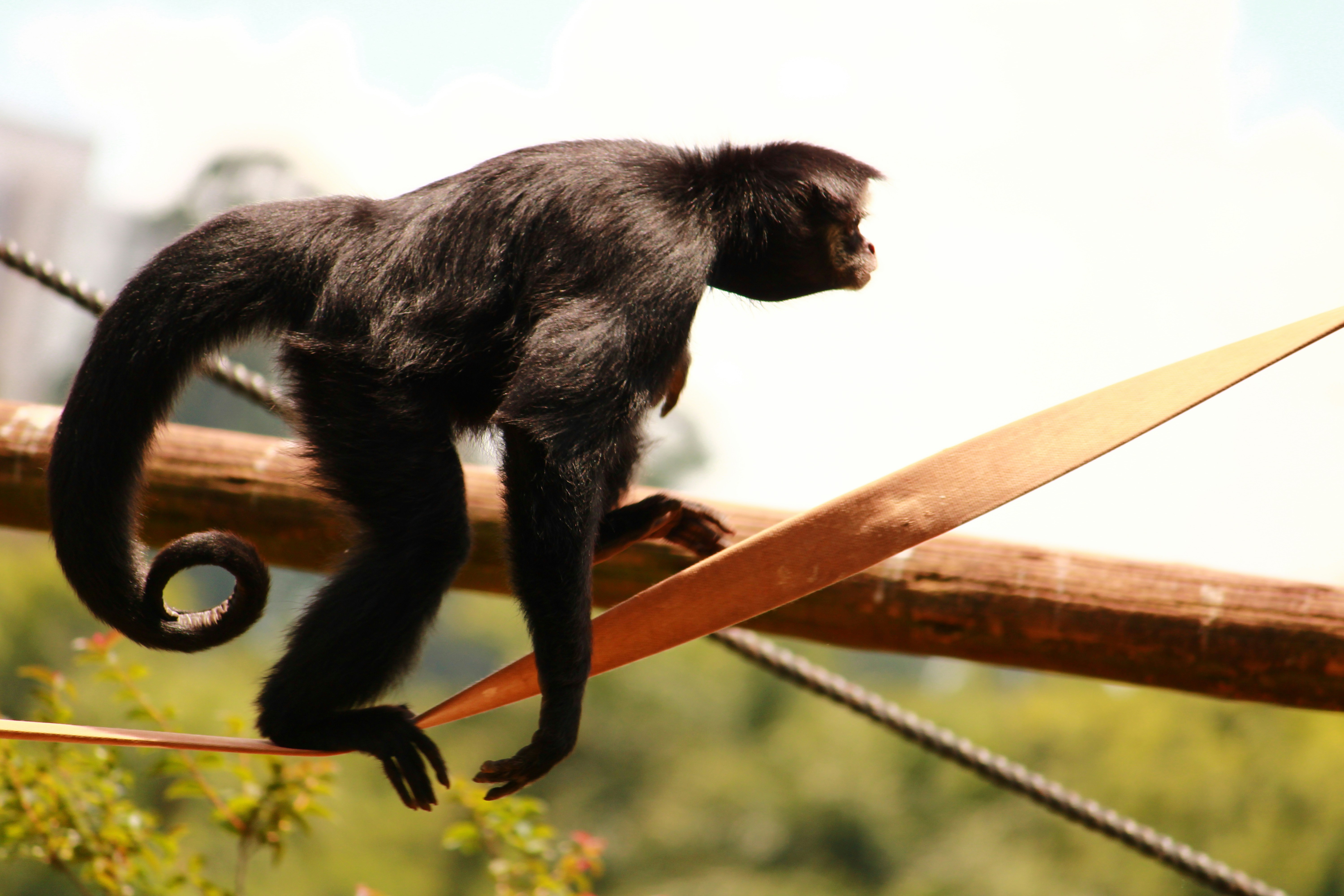 Photo by iamblondfox