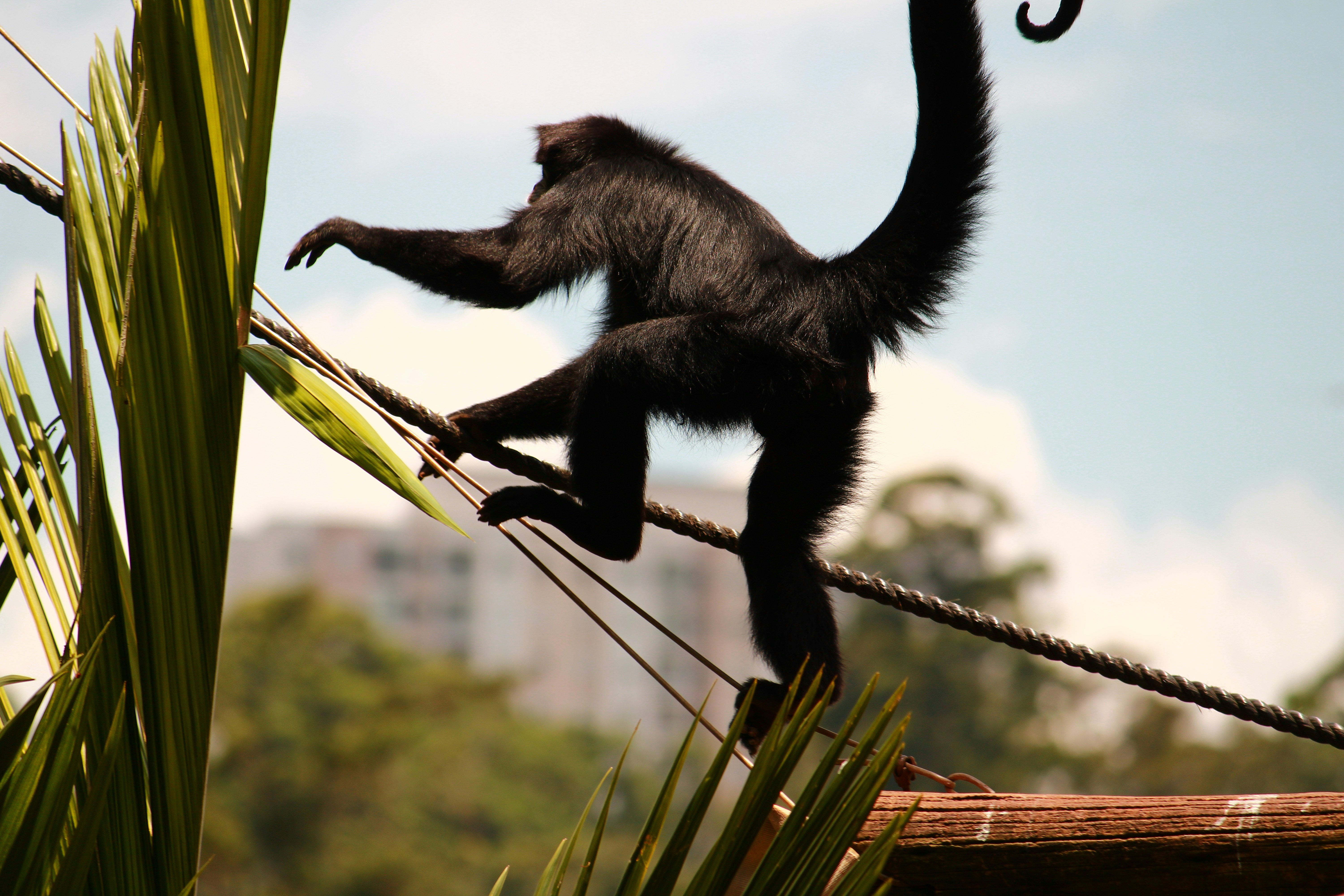 Photo by iamblondfox