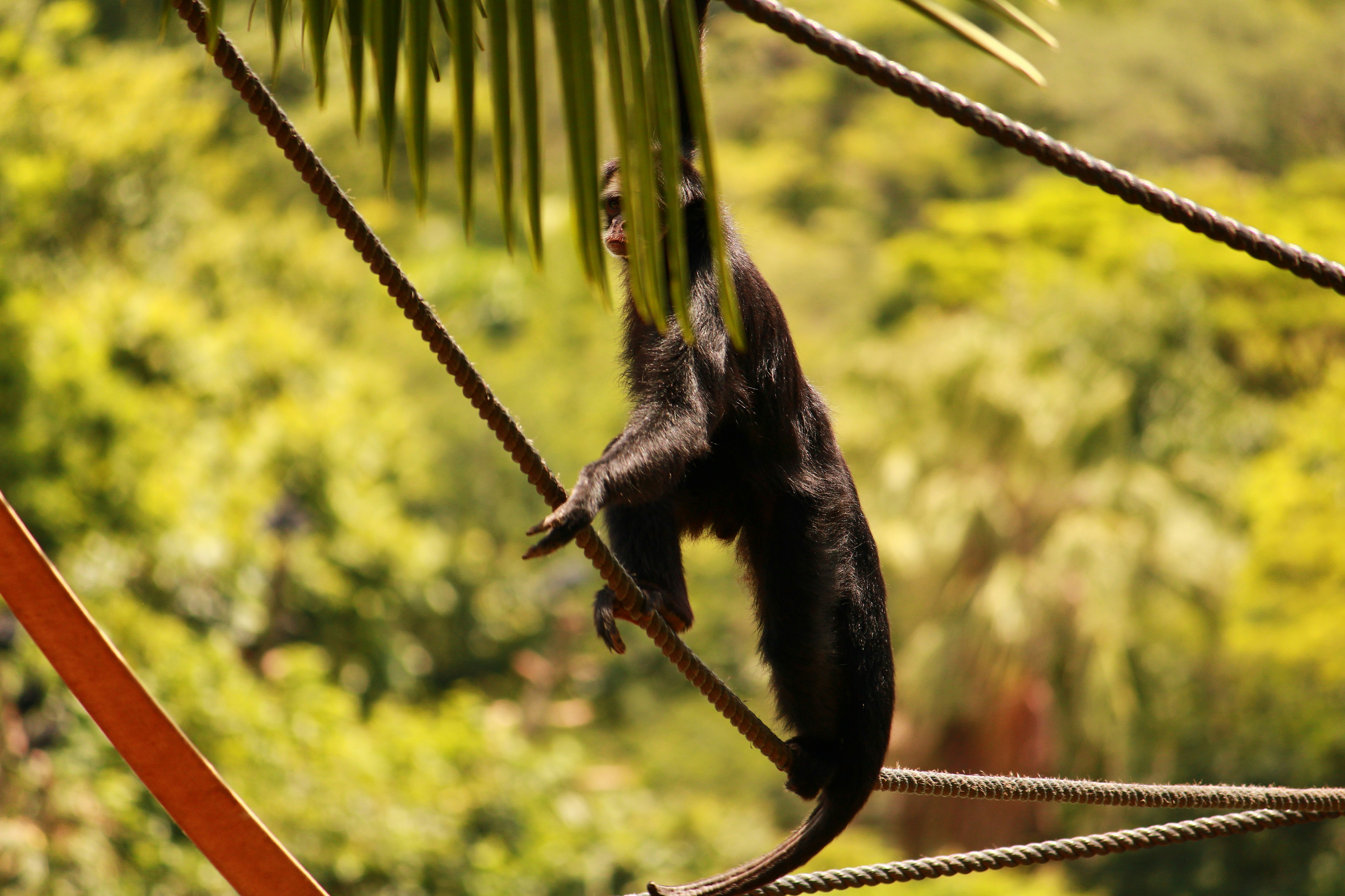 Photo by iamblondfox