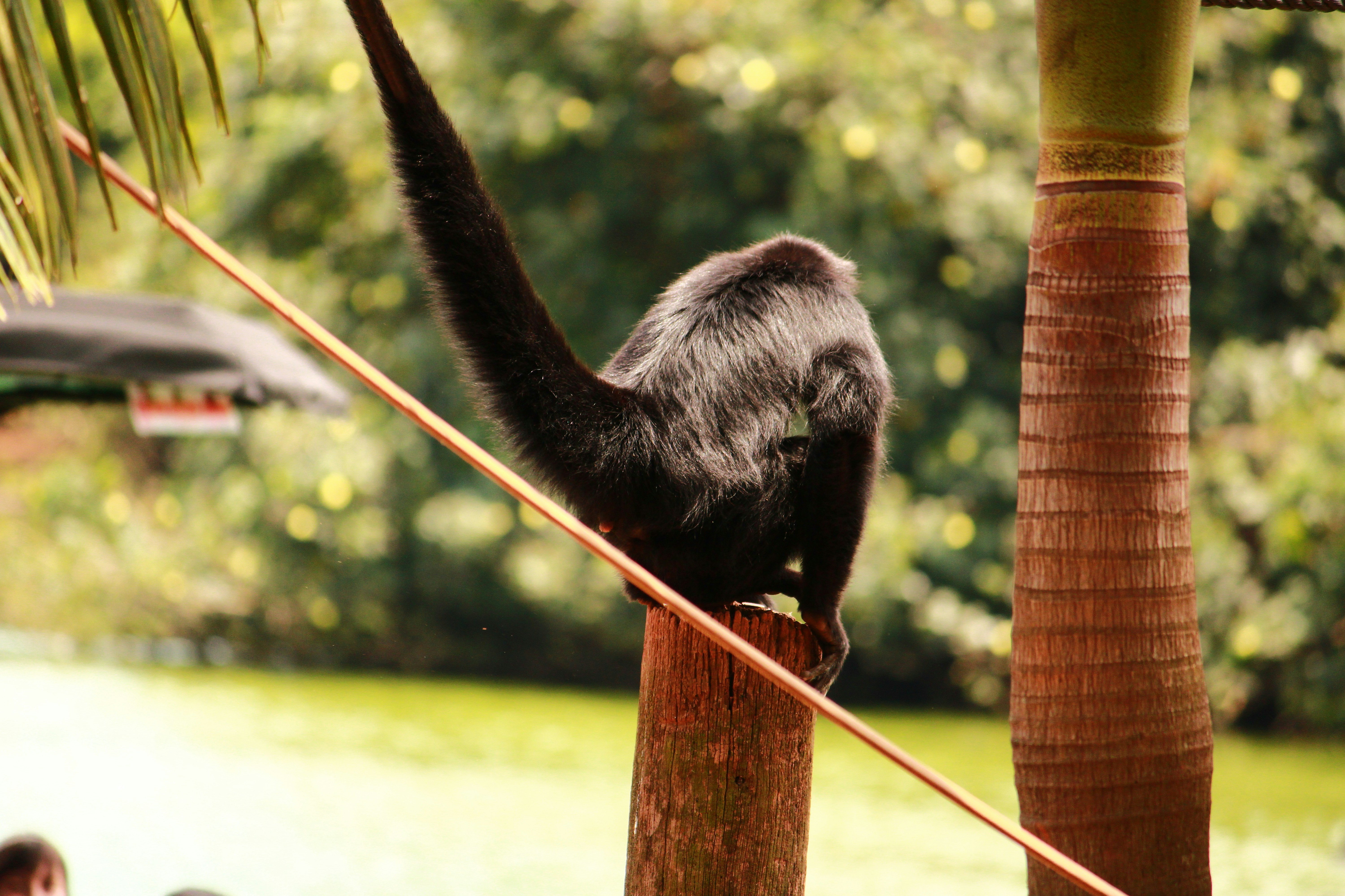 Photo by iamblondfox