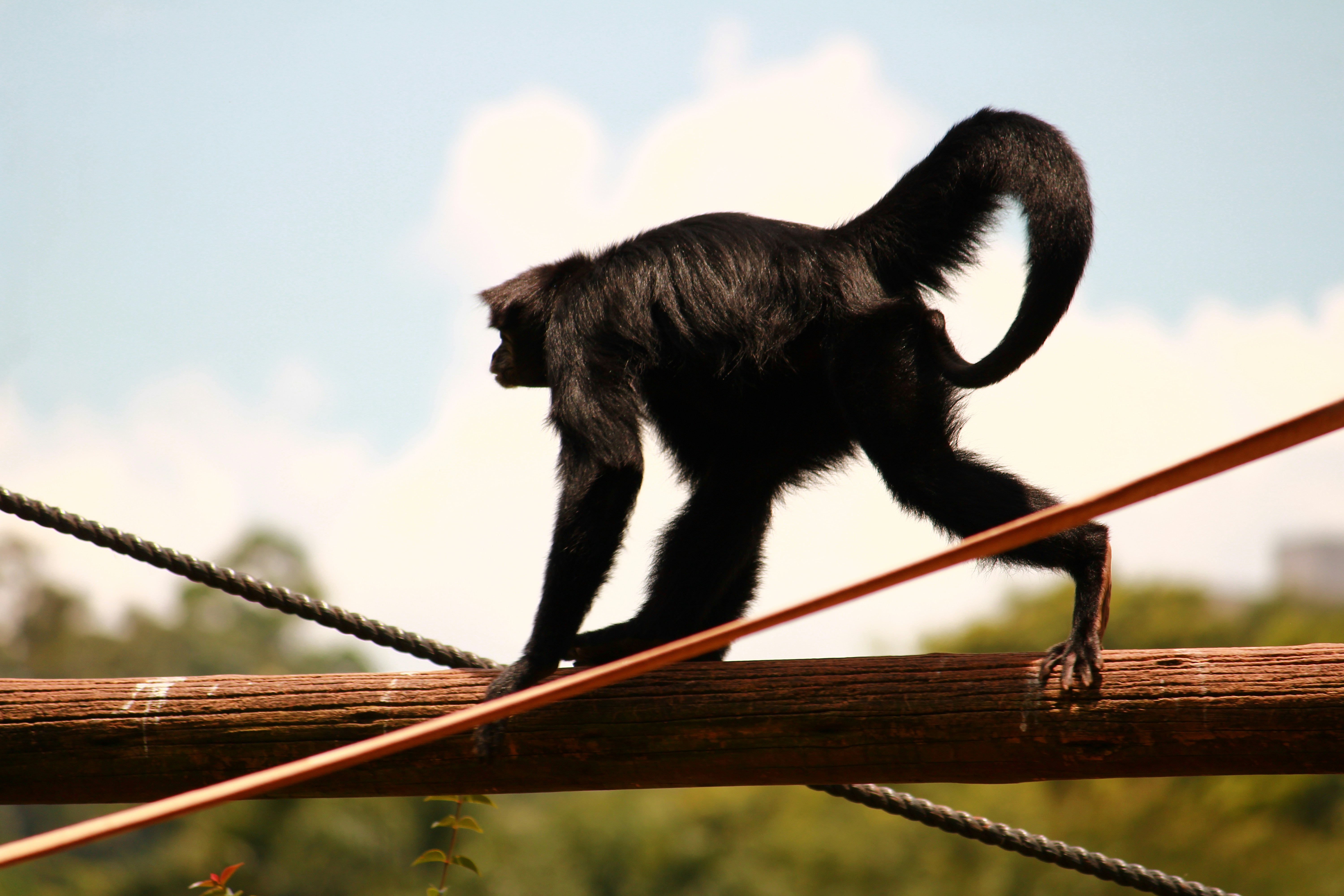 Photo by iamblondfox