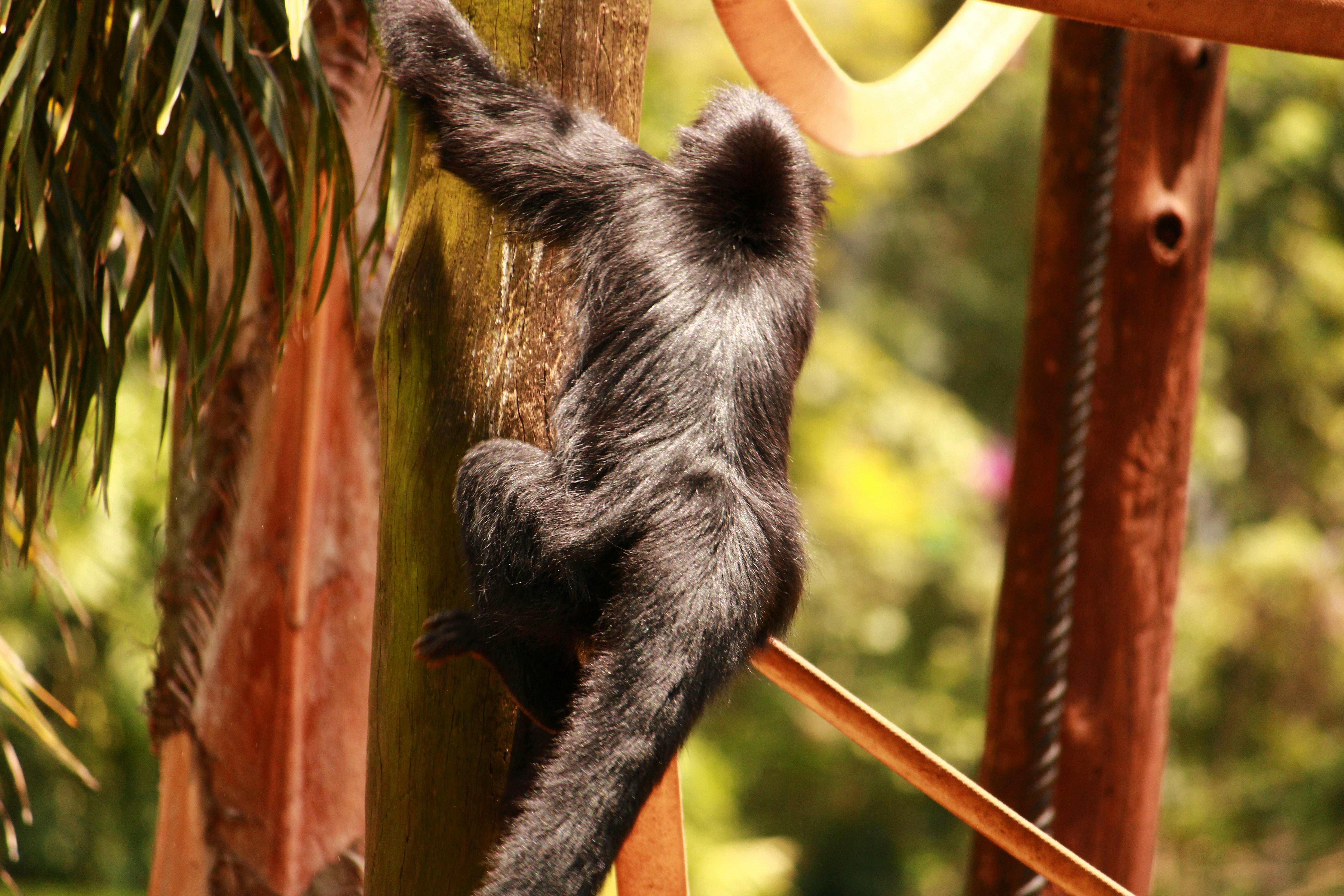 Photo by iamblondfox