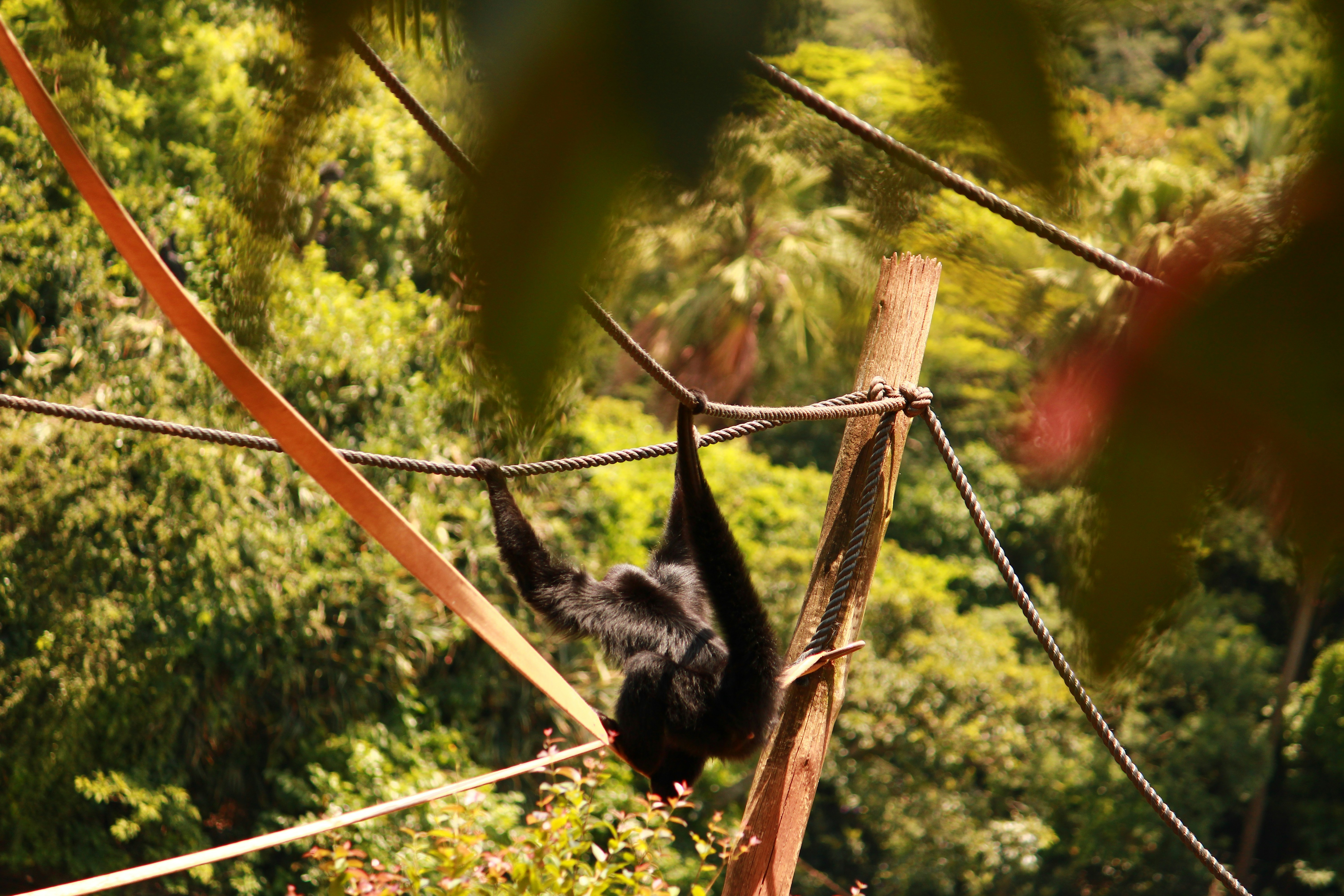 Photo by iamblondfox