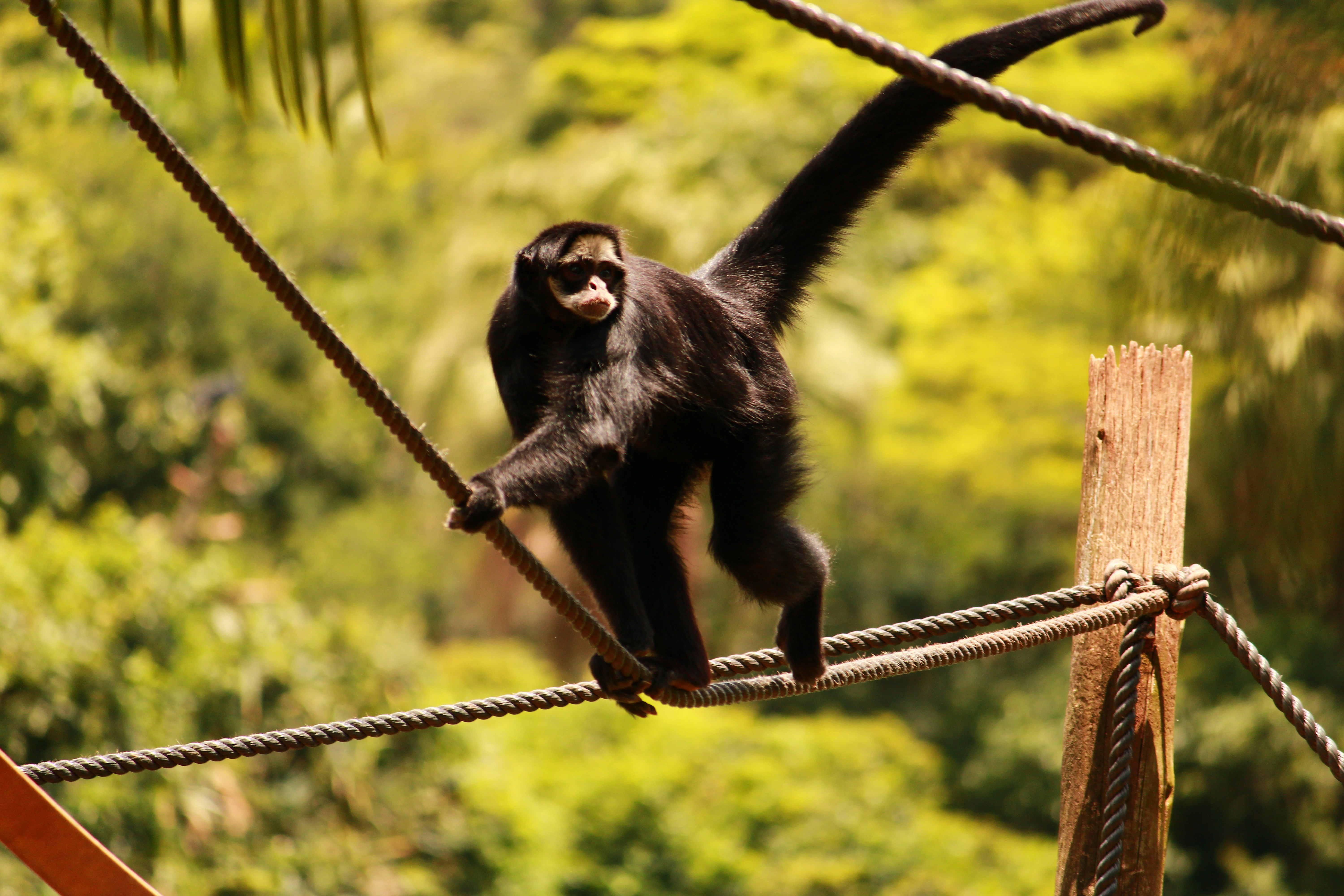 Photo by iamblondfox