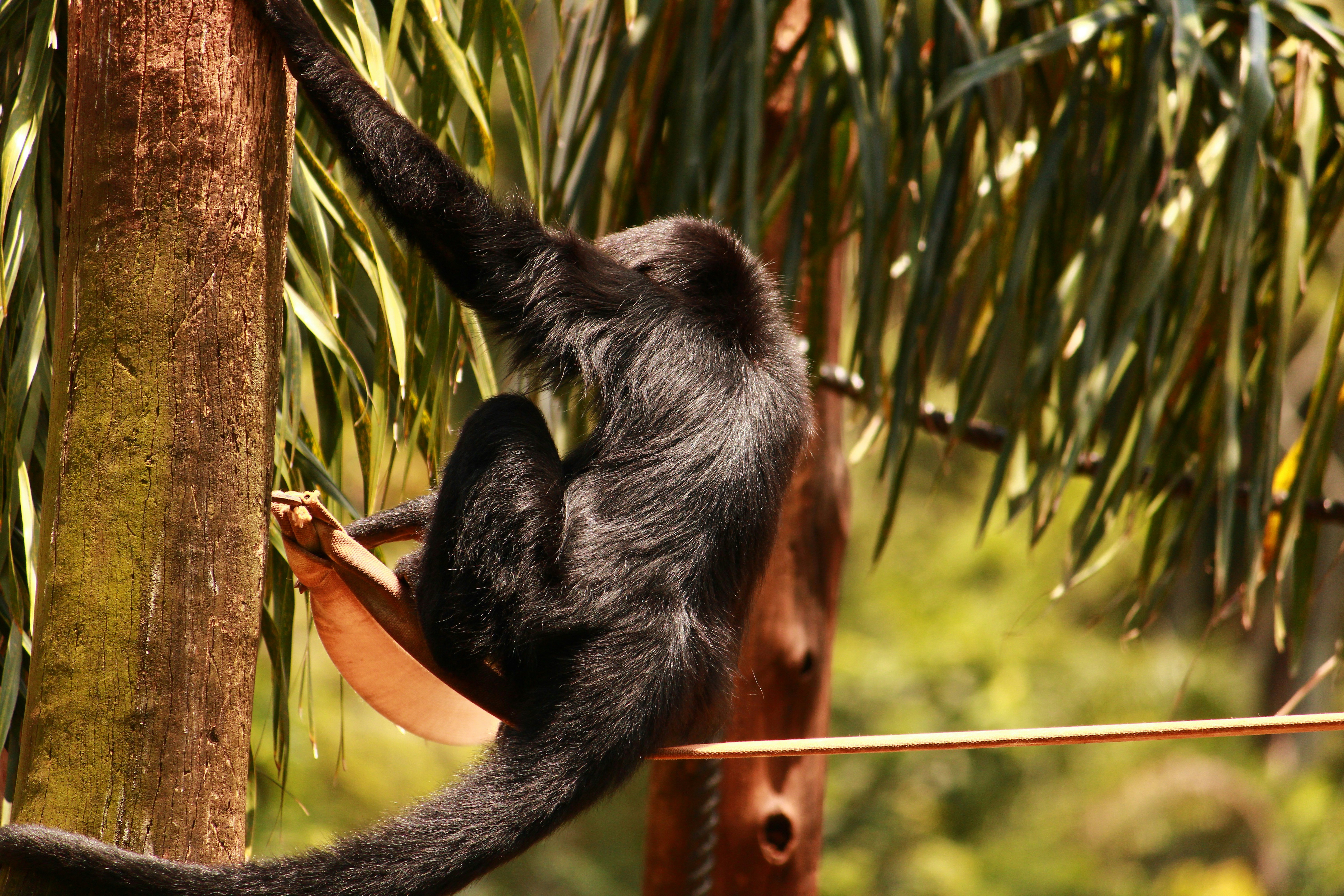 Photo by iamblondfox