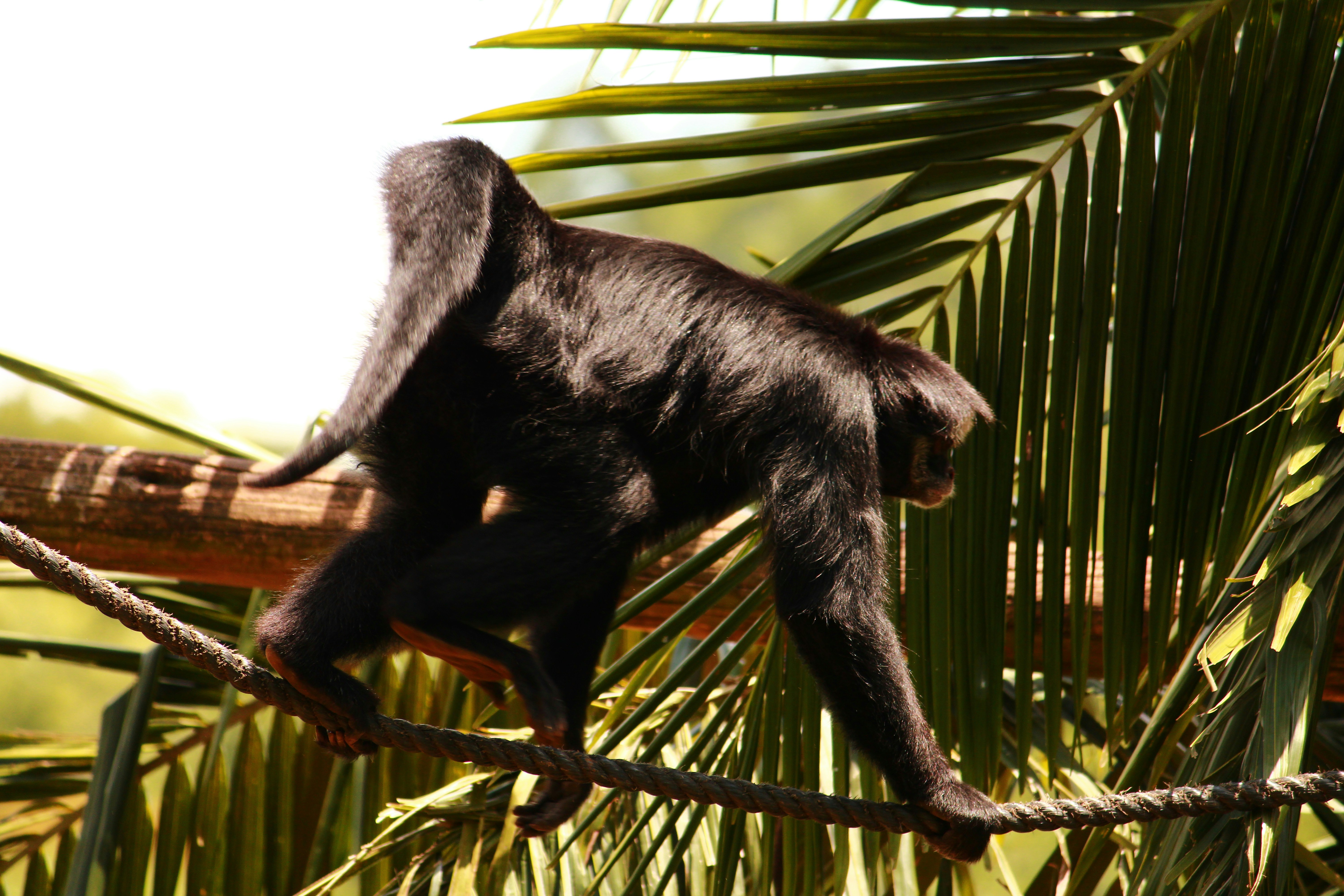 Photo by iamblondfox