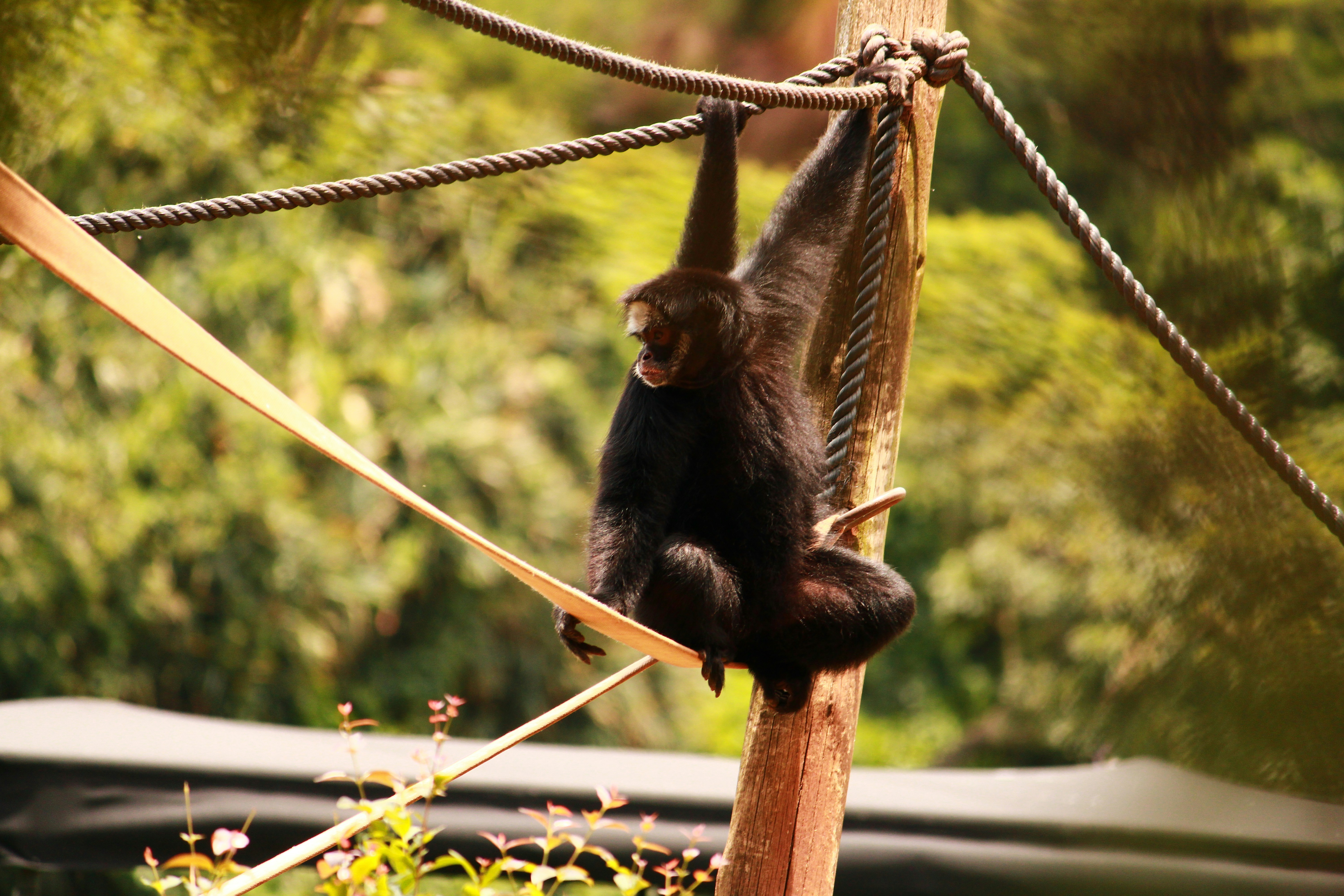 Photo by iamblondfox