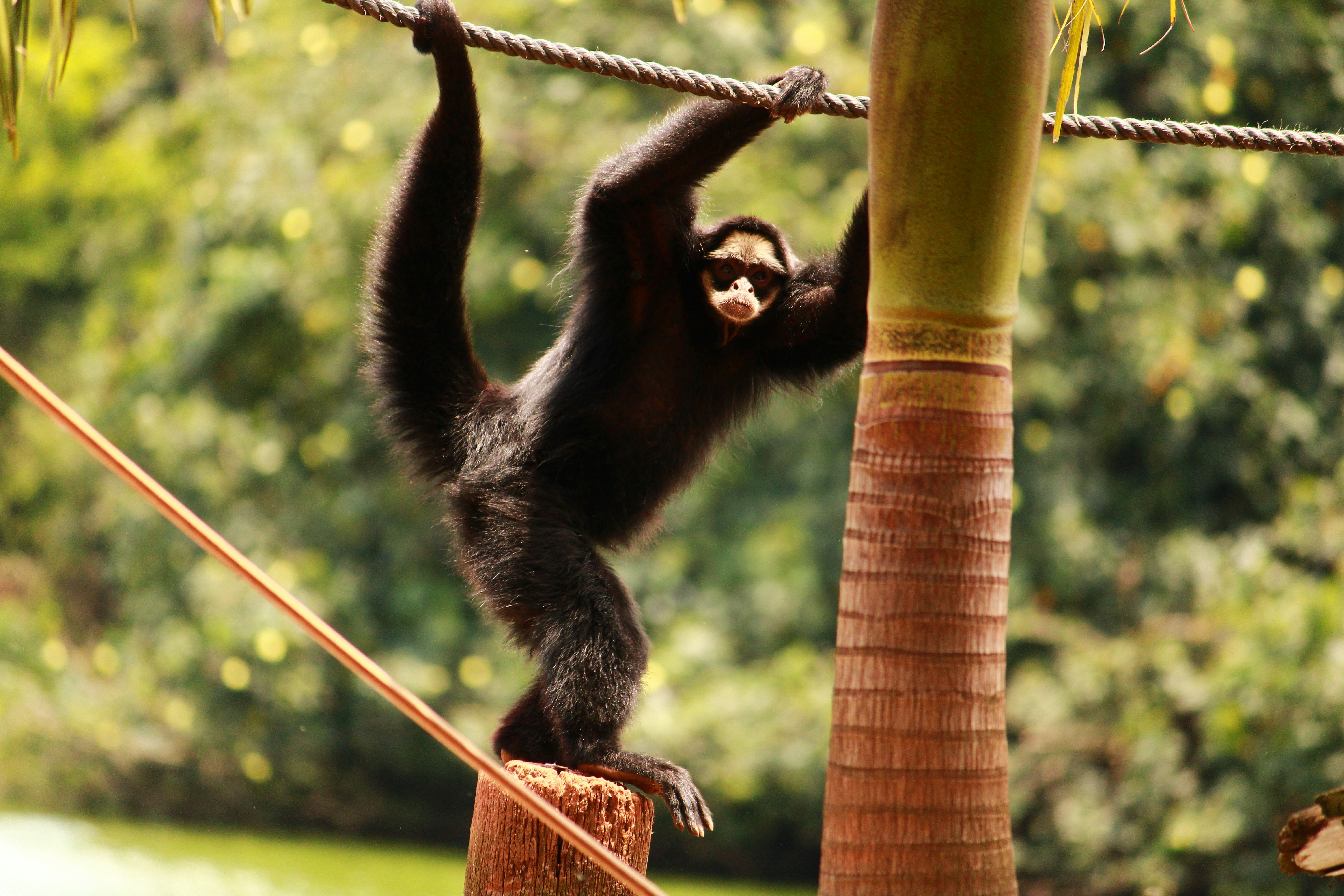 Photo by iamblondfox