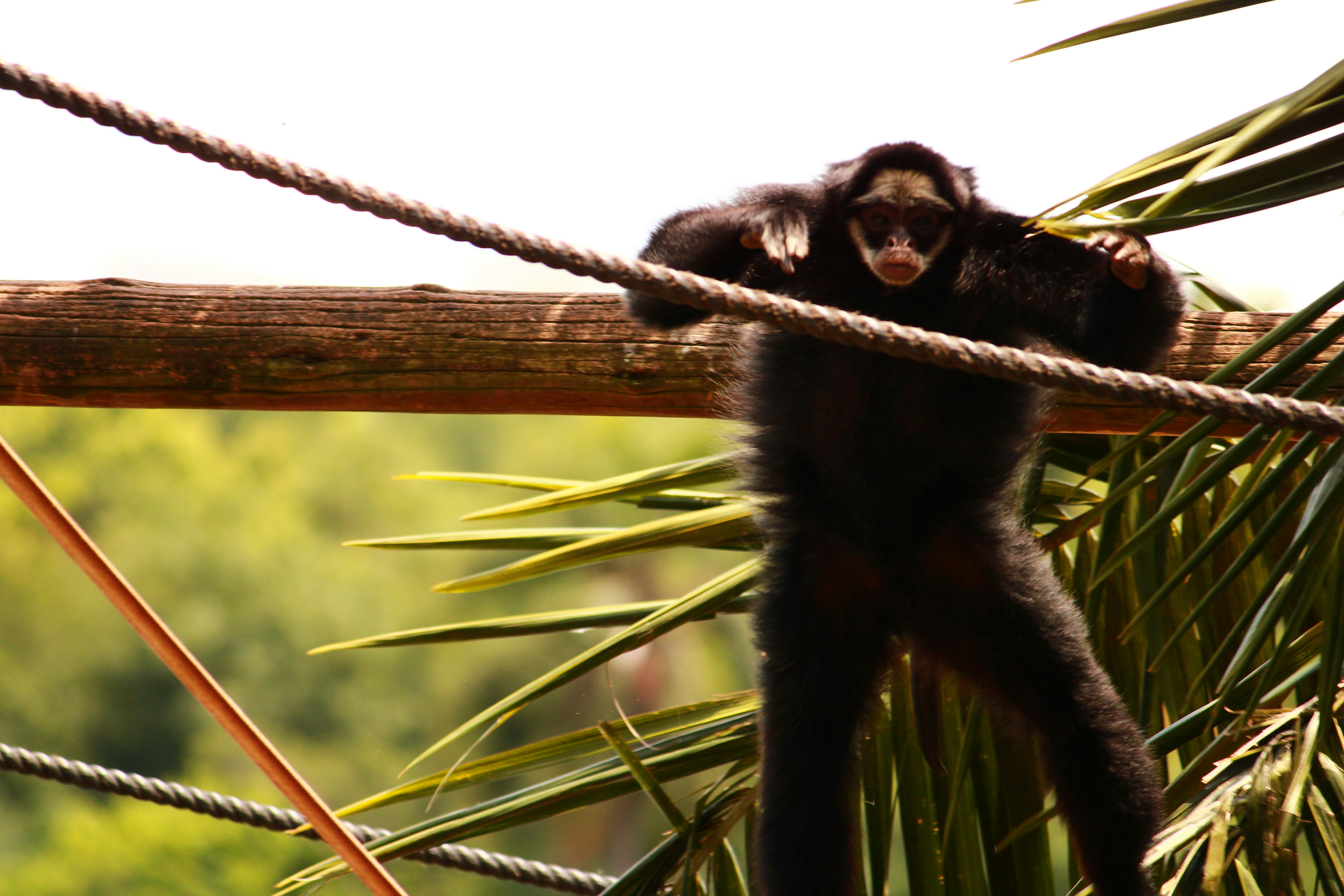 Photo by iamblondfox