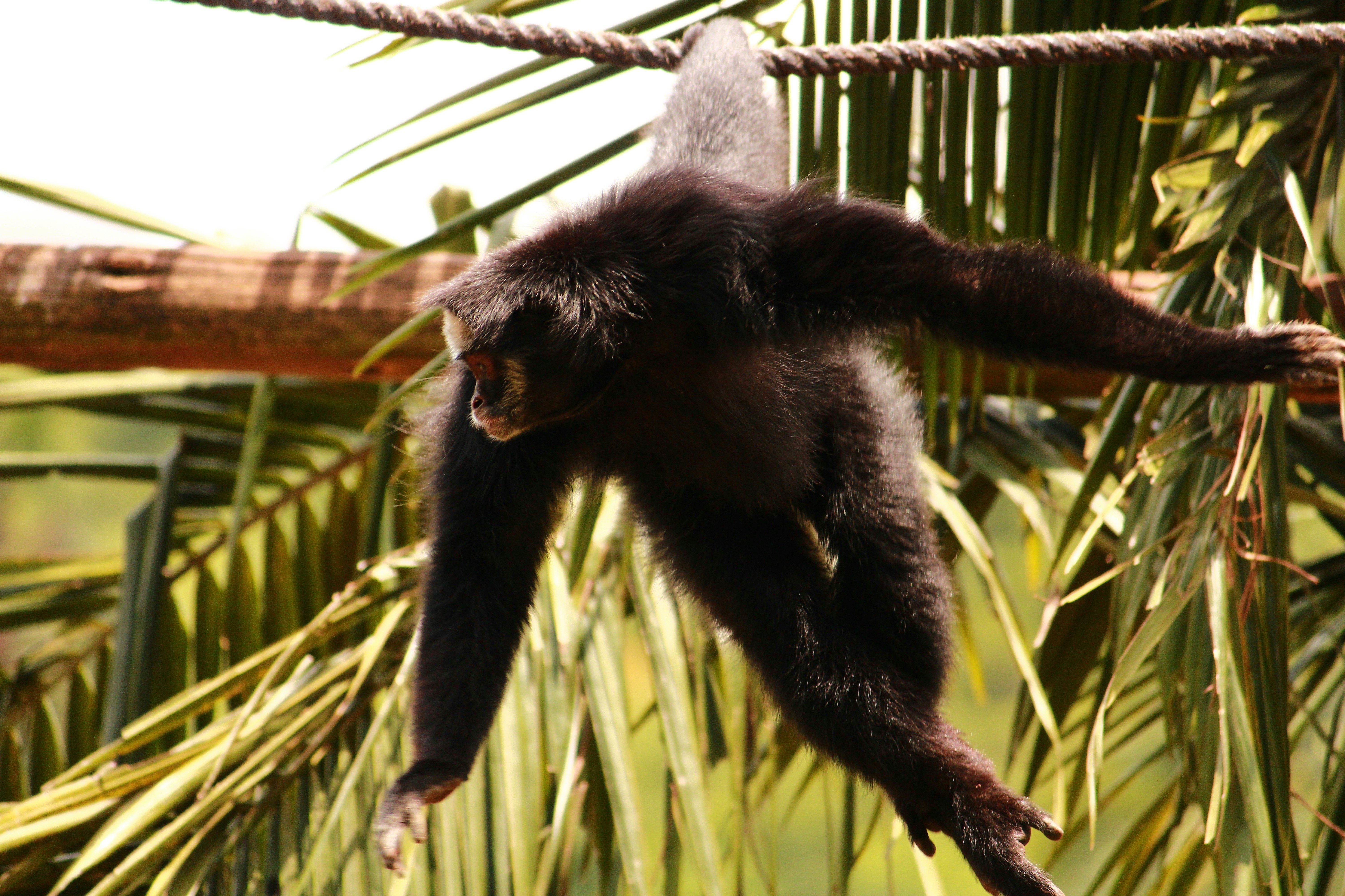 Photo by iamblondfox