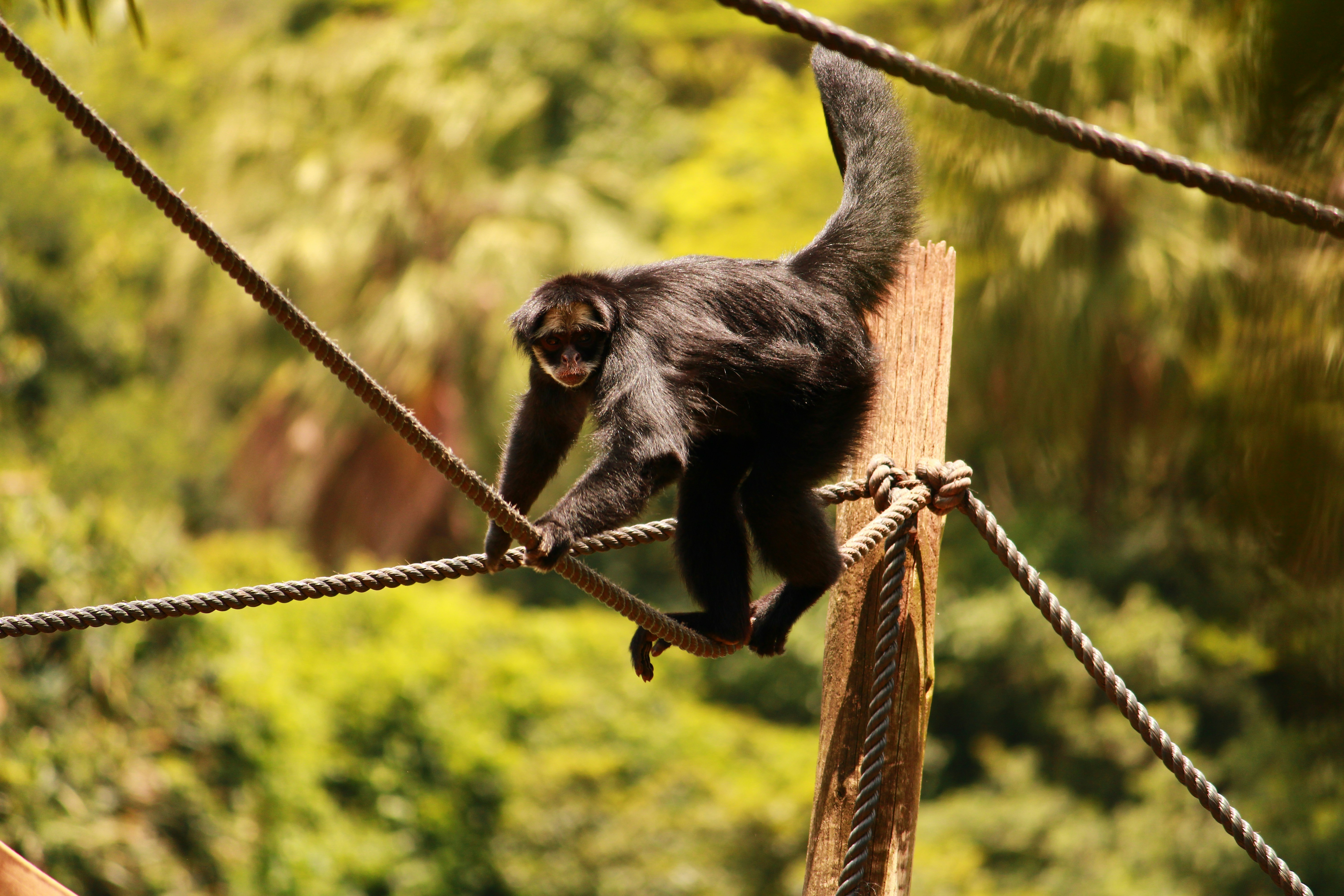 Photo by iamblondfox