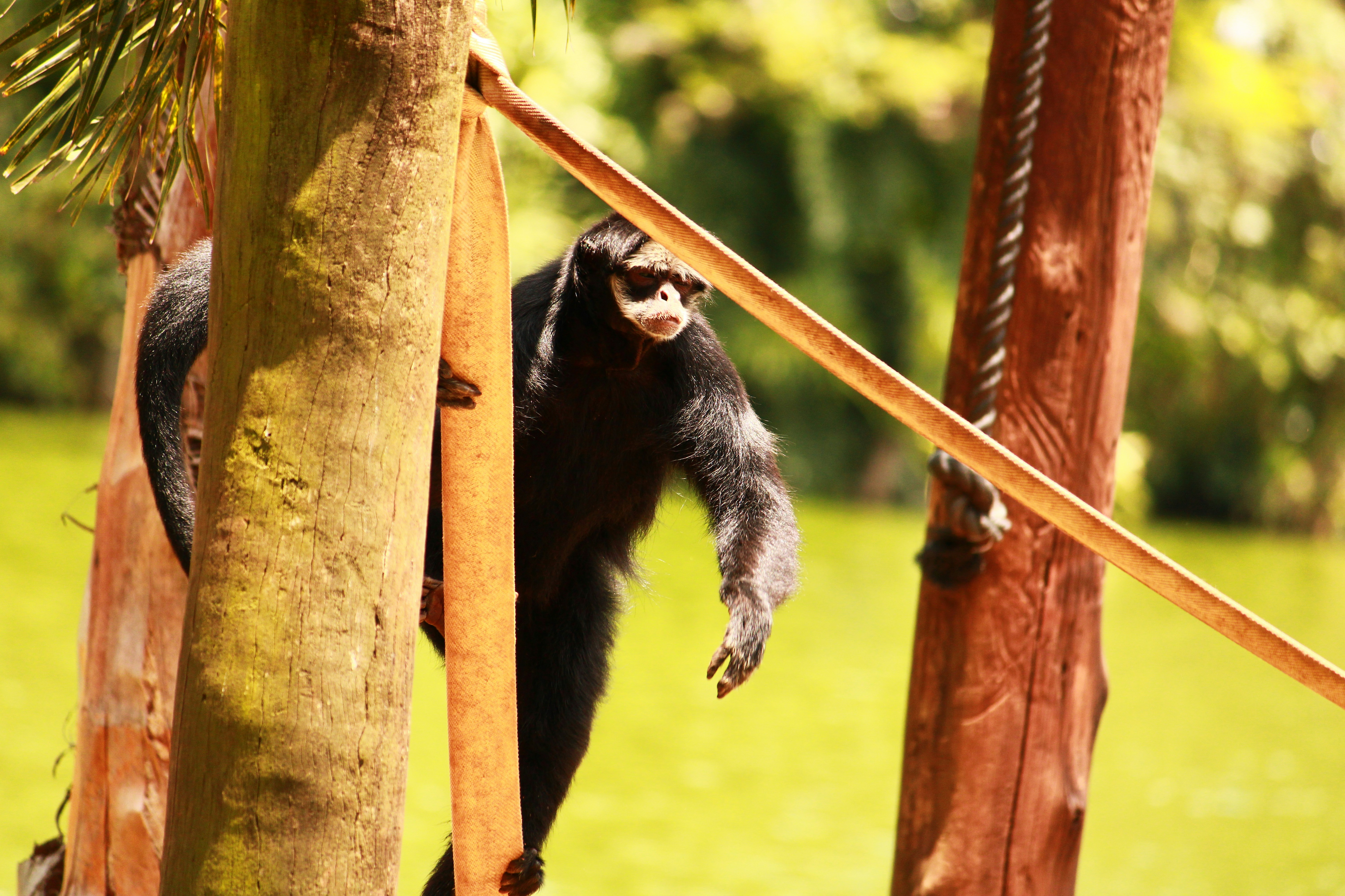 Photo by iamblondfox