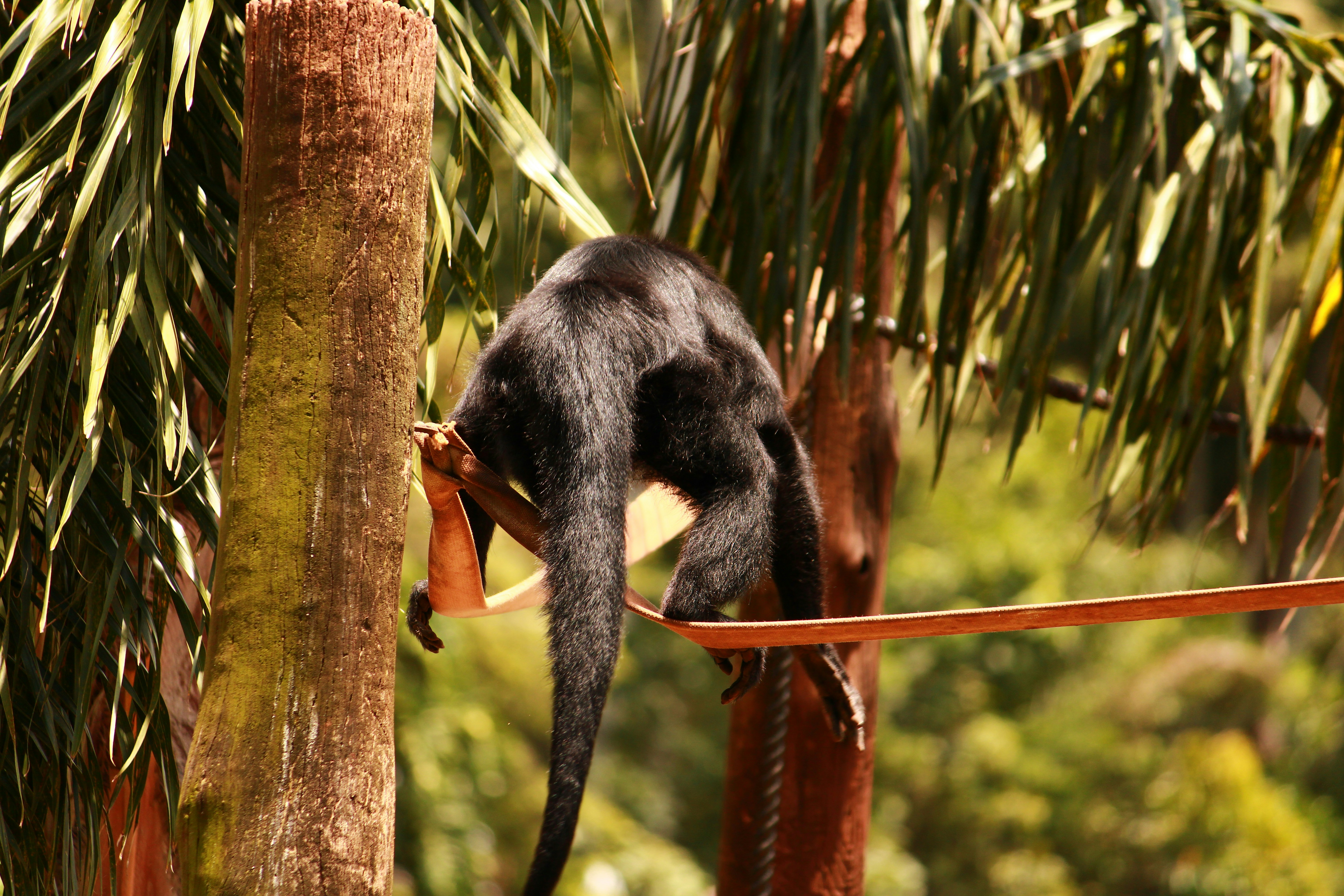 Photo by iamblondfox