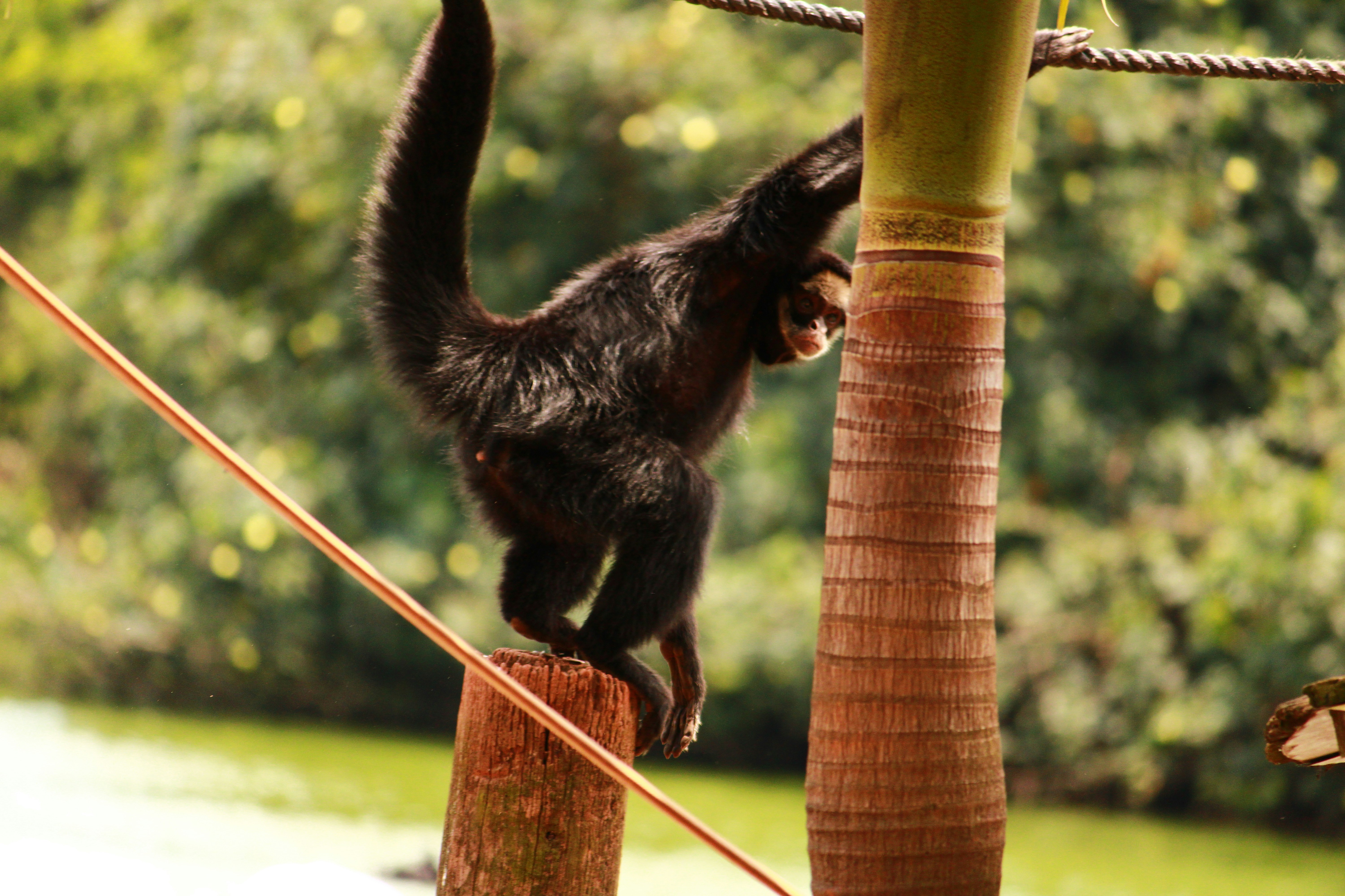 Photo by iamblondfox