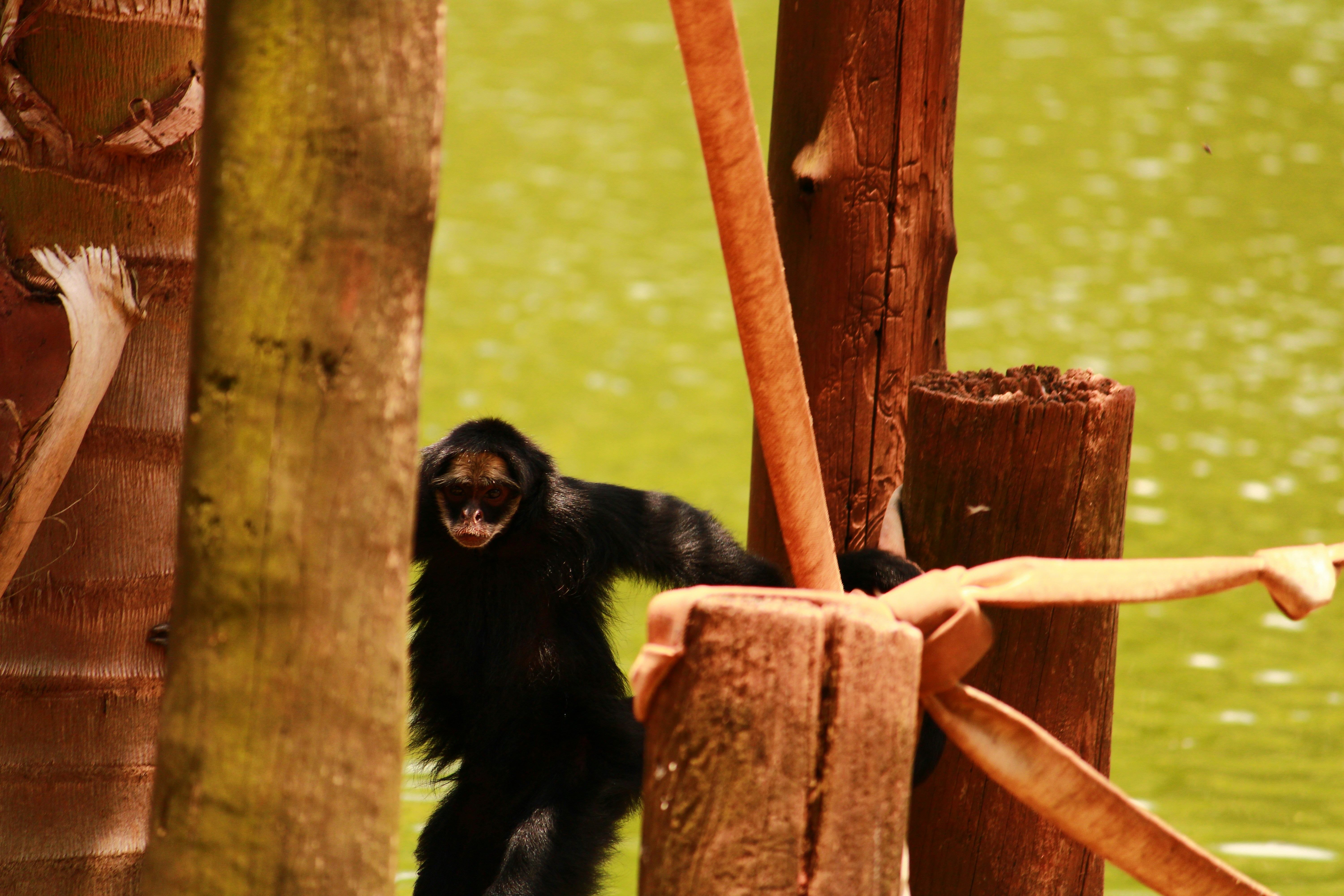 Photo by iamblondfox