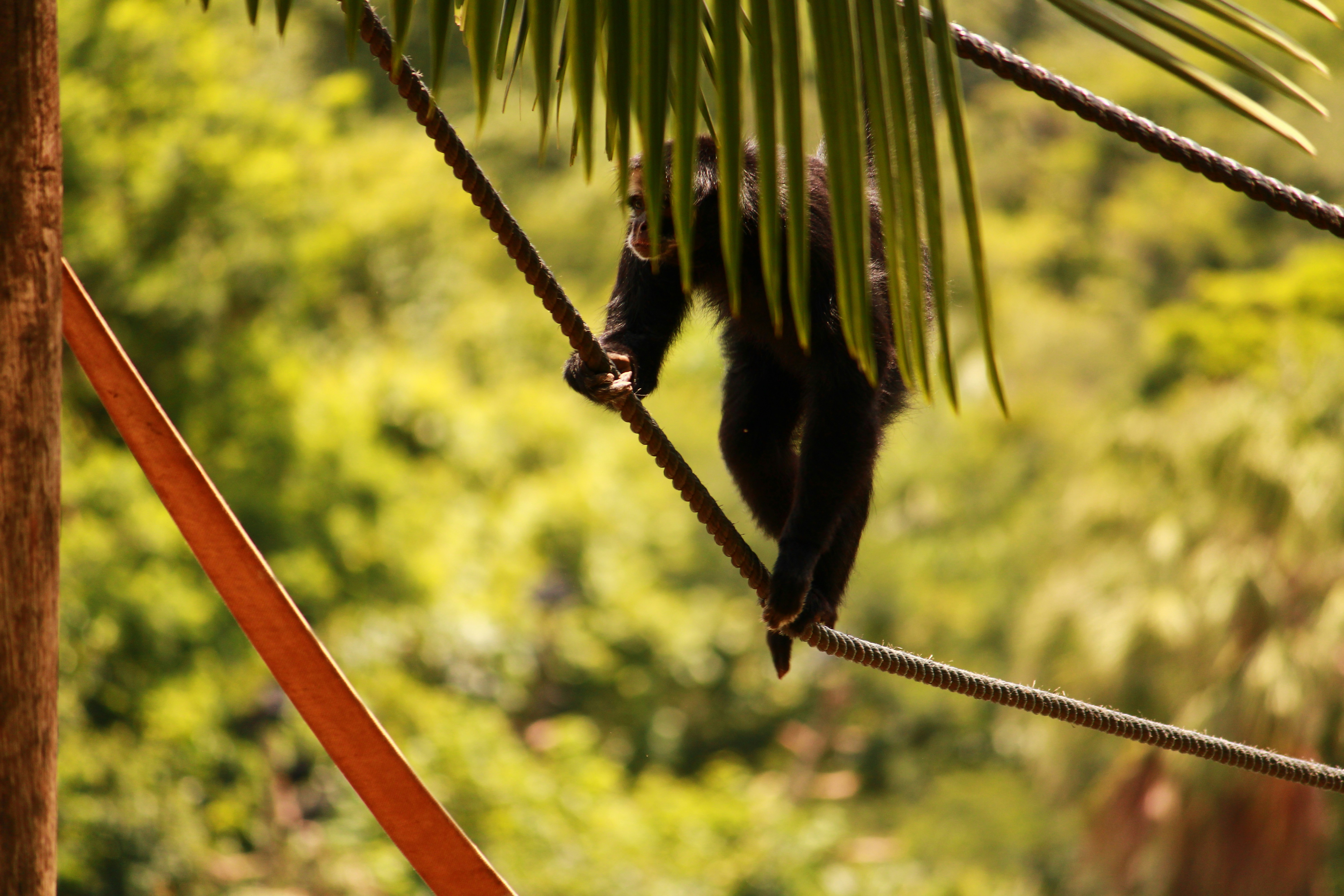 Photo by iamblondfox