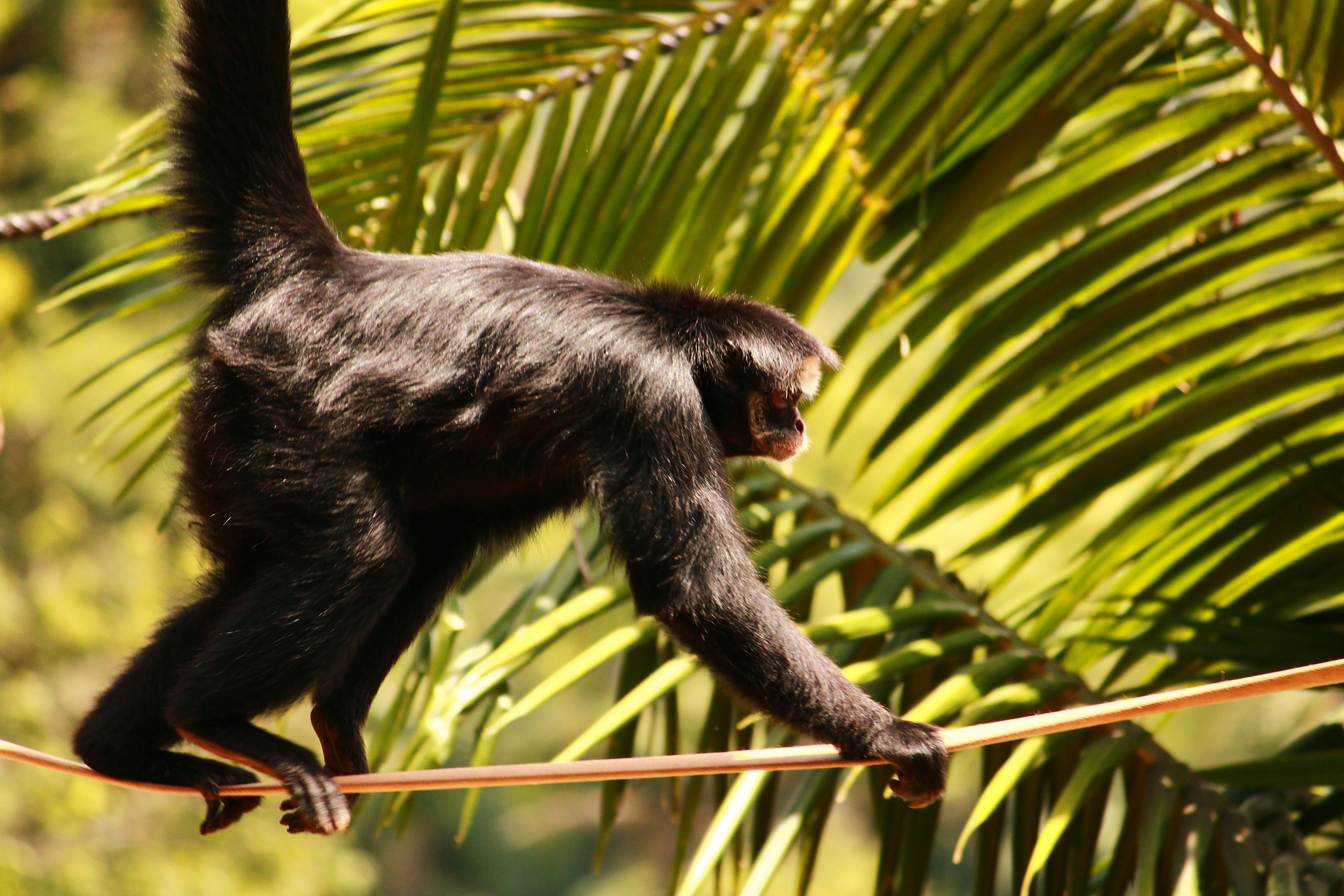 Photo by iamblondfox