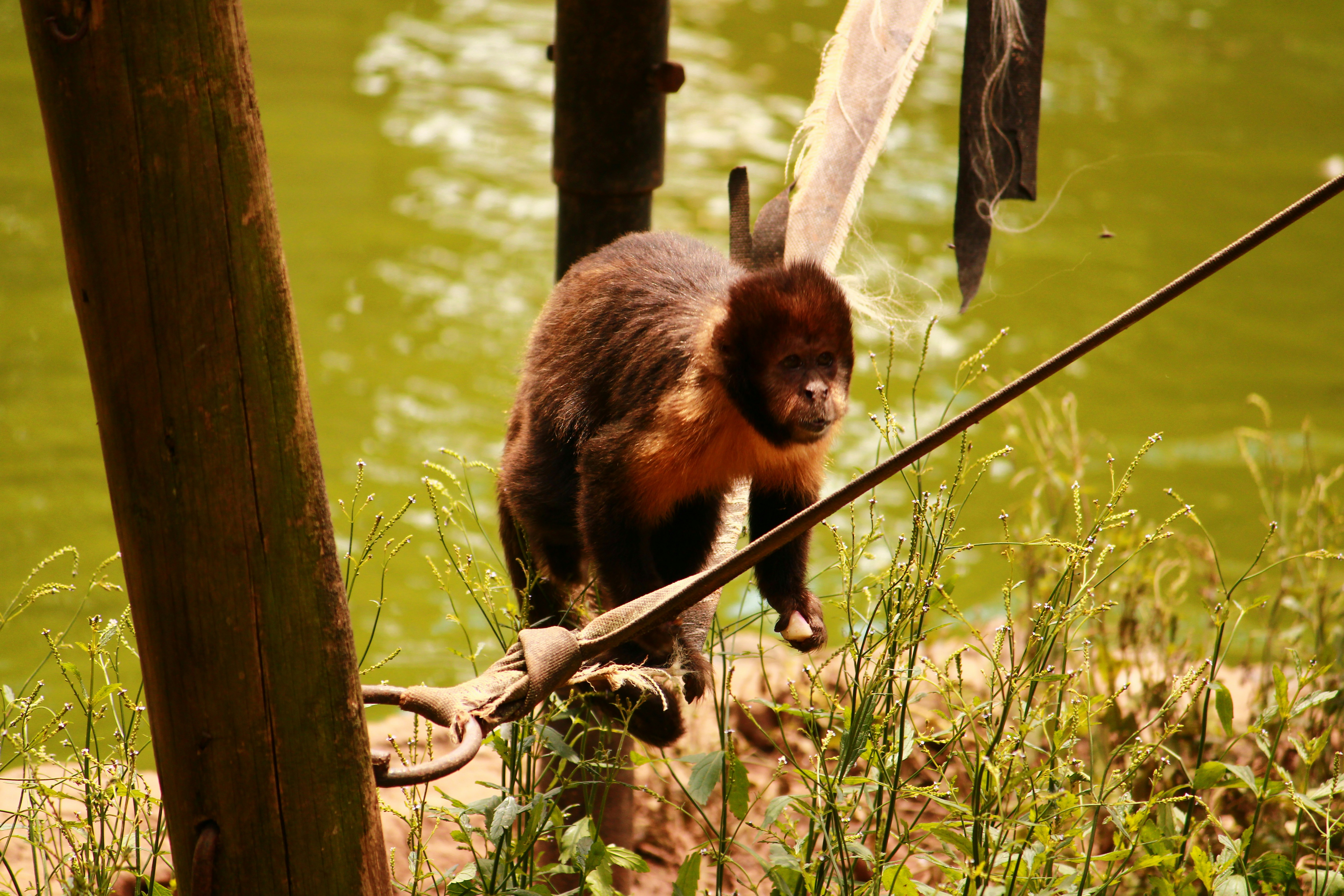 Photo by iamblondfox