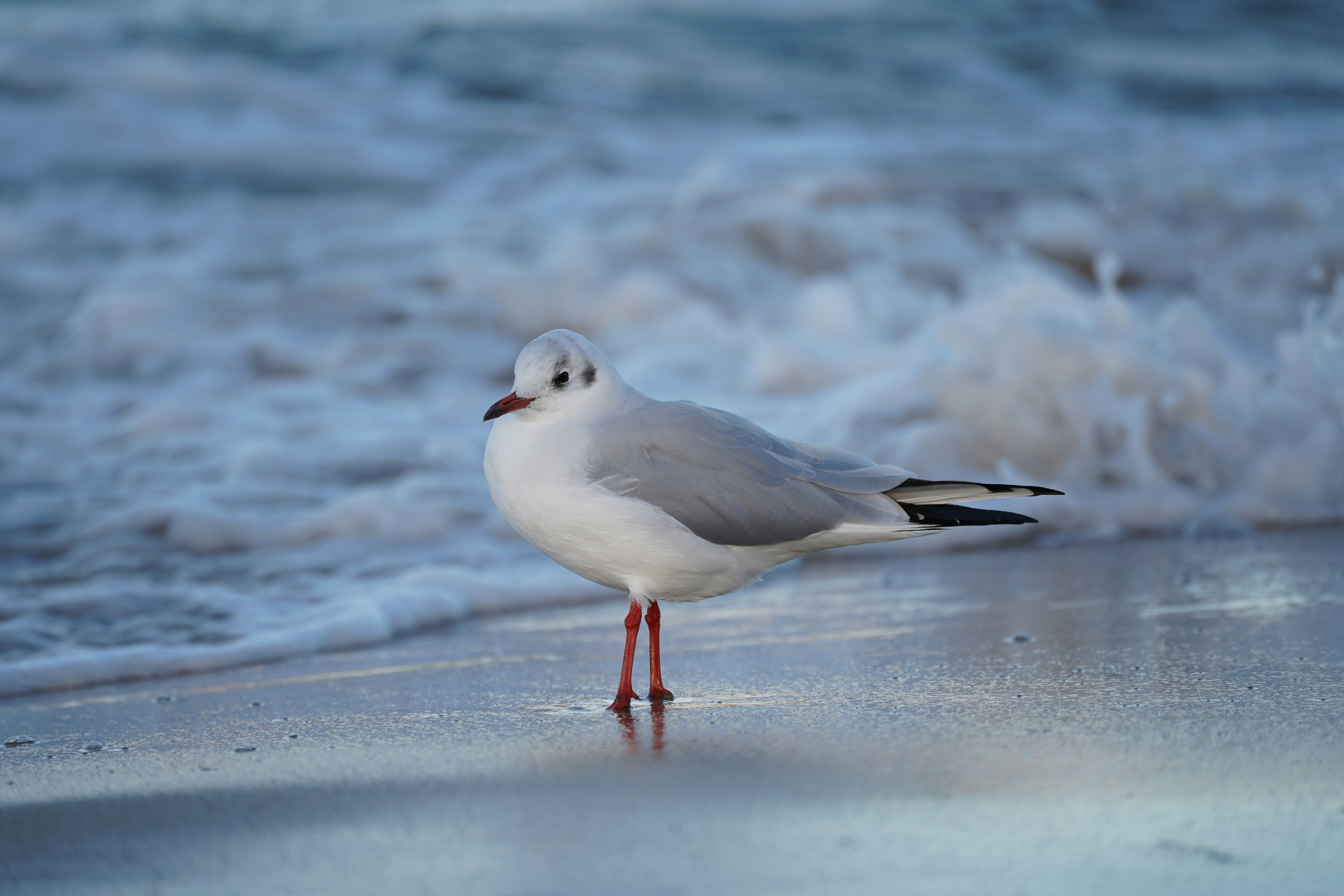 Photo by papierraumschiff