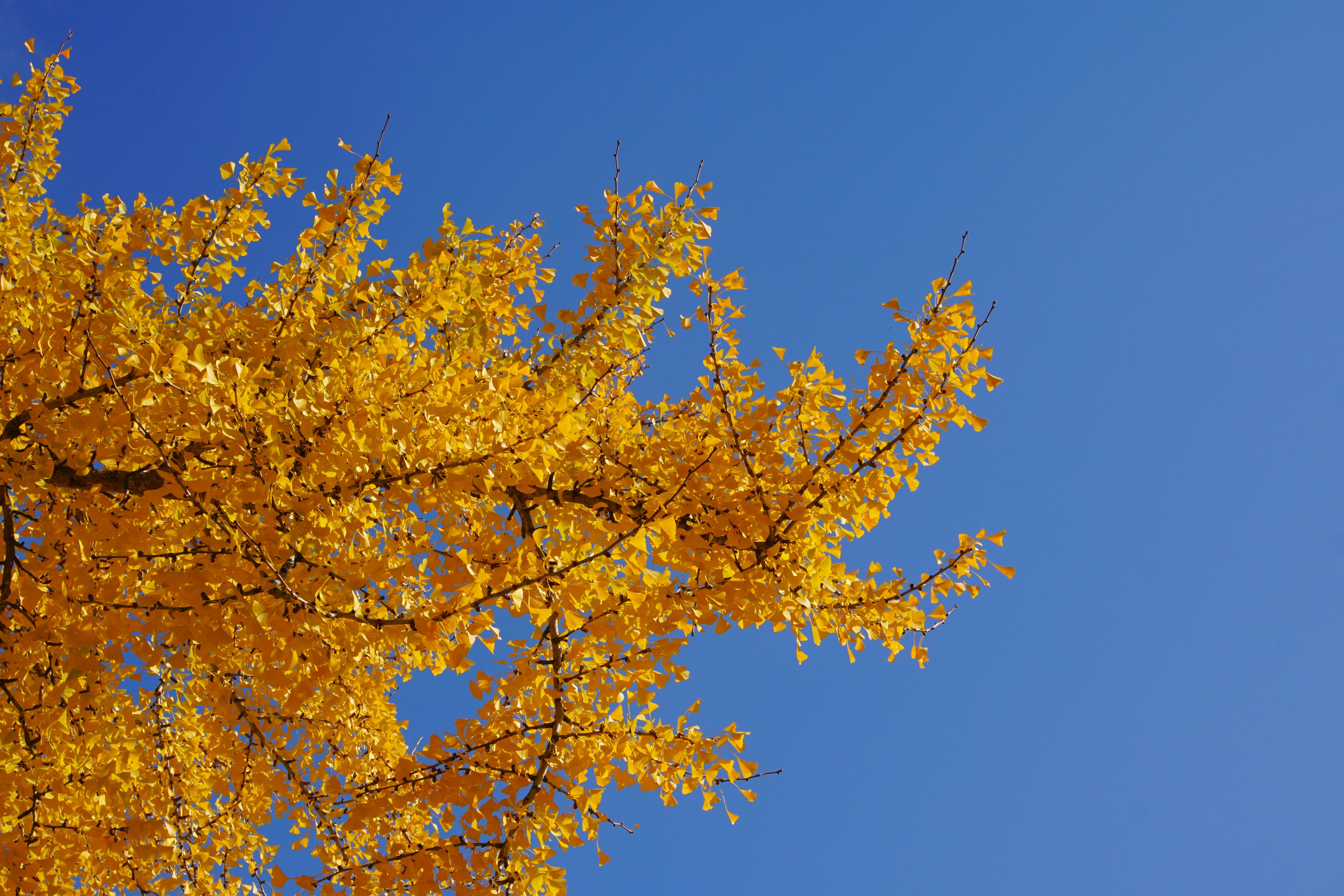 Photo by syadzasalsabyla