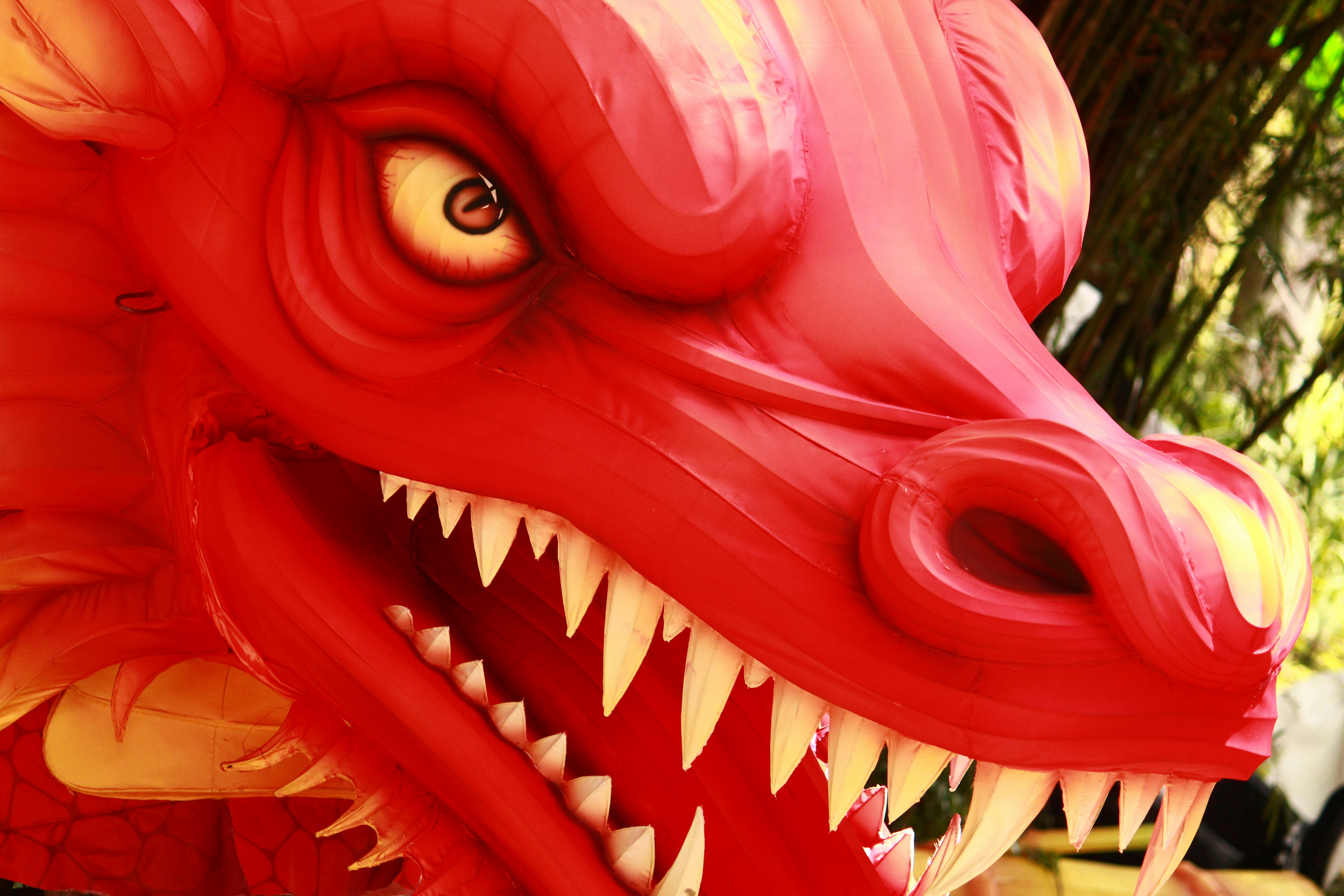 Sculpture of a chinese dragon