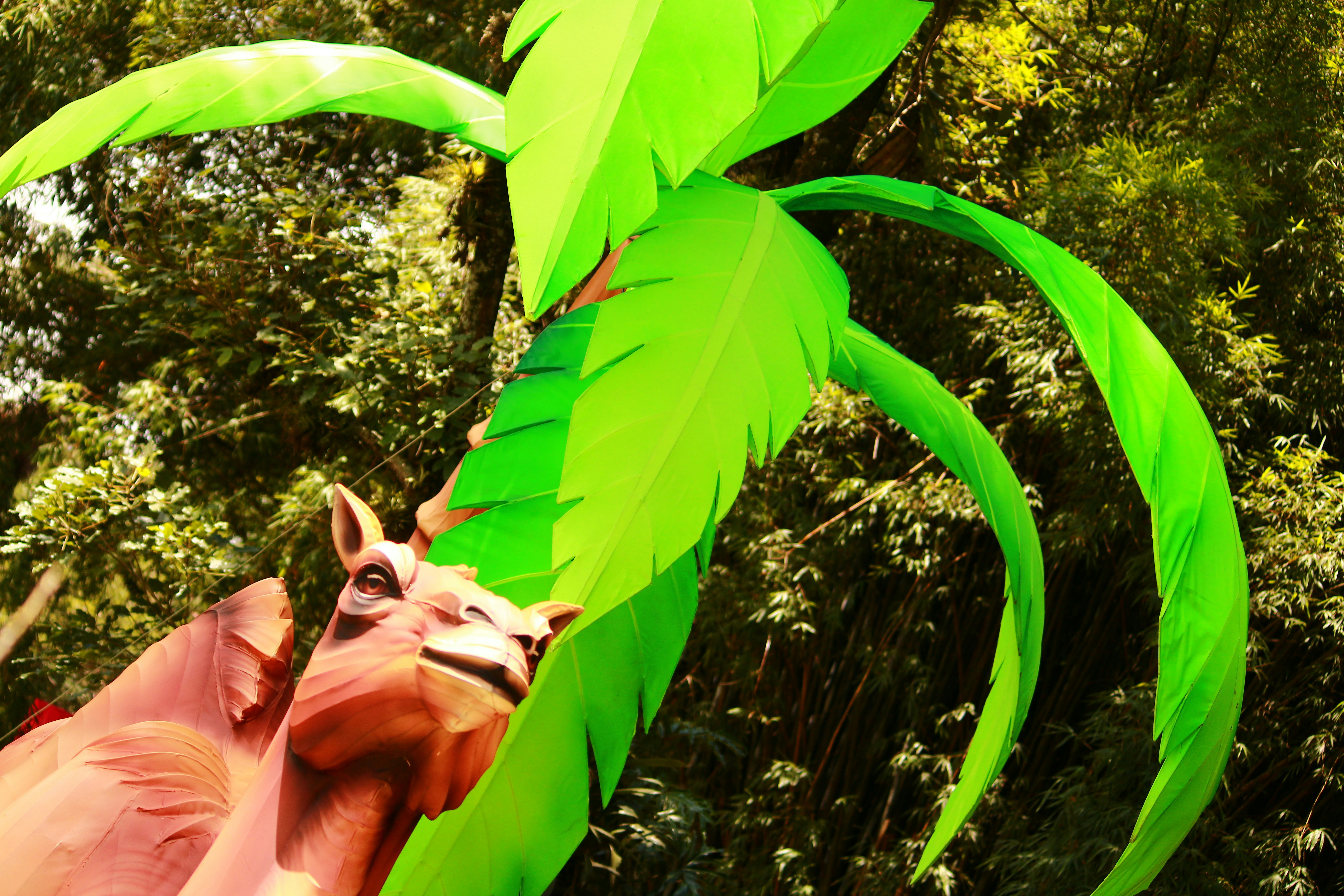 Photo by iamblondfox