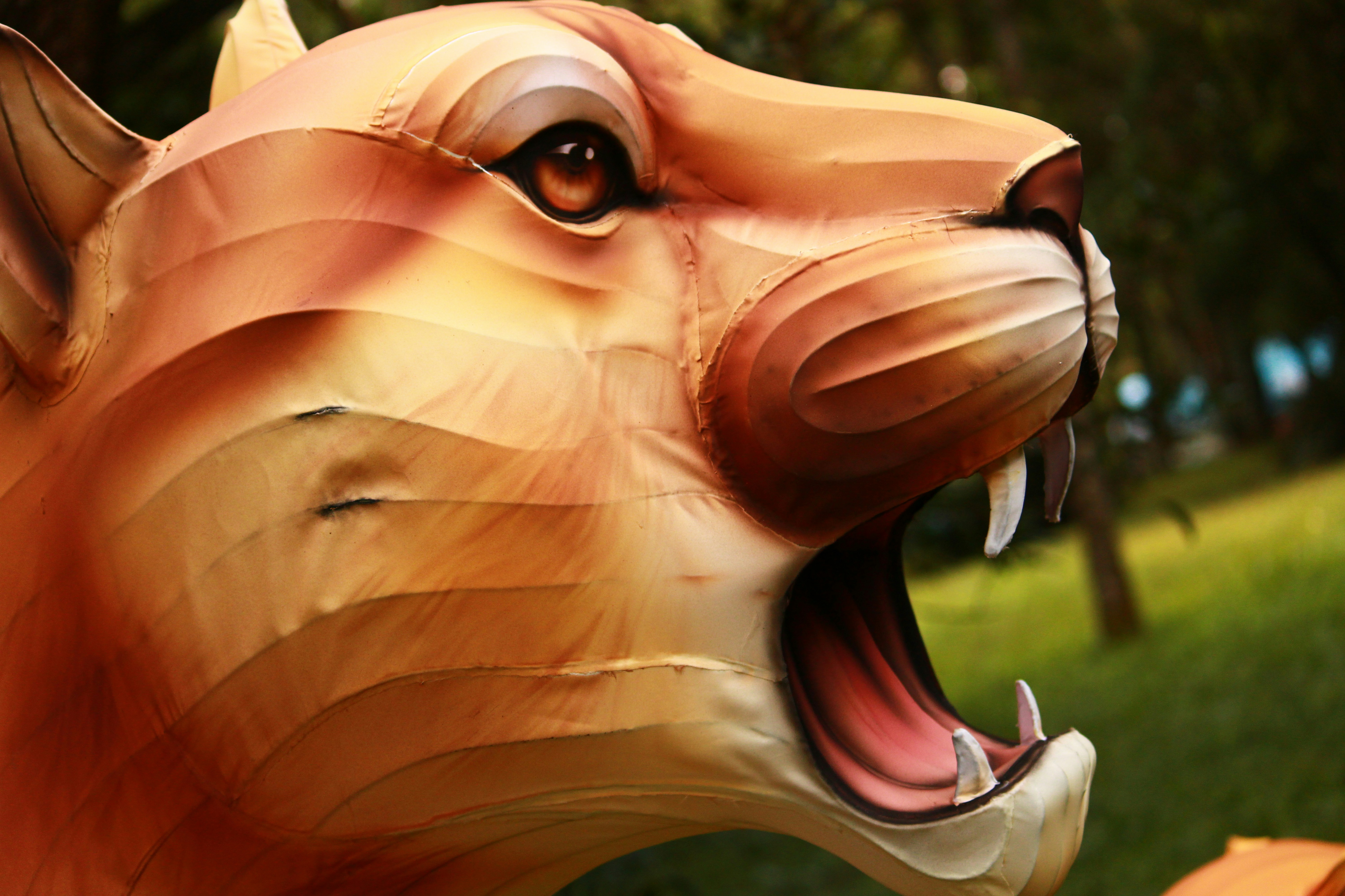 Photo by iamblondfox