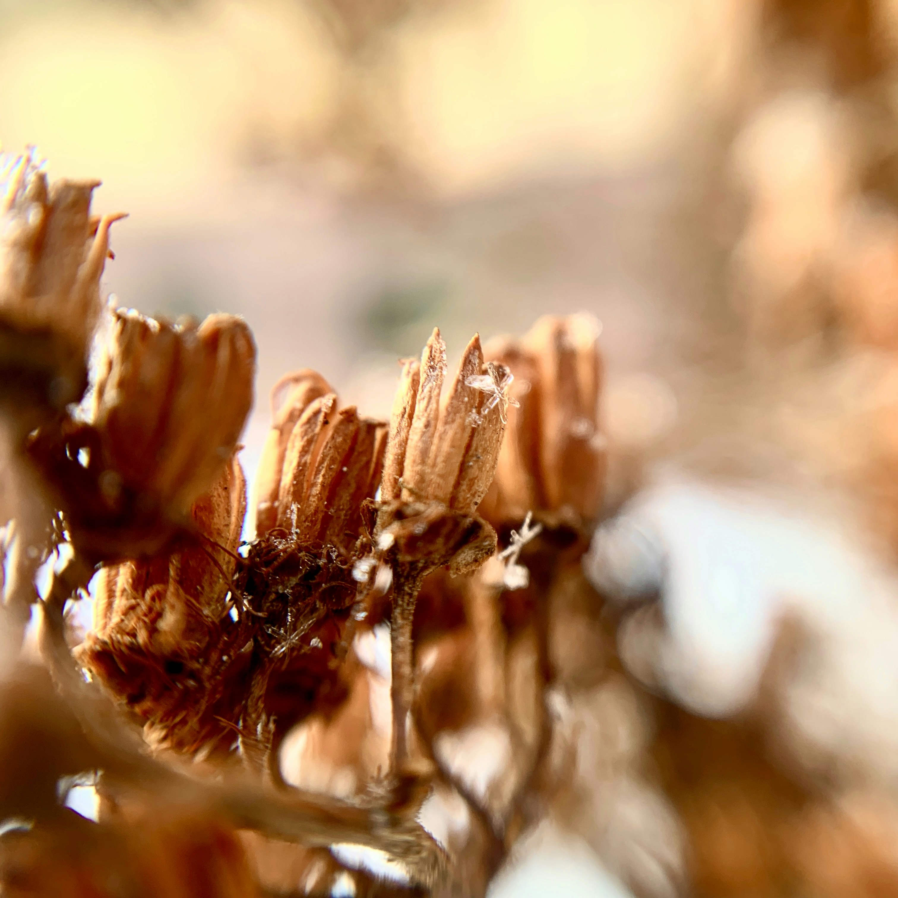 Photo by threez_opel