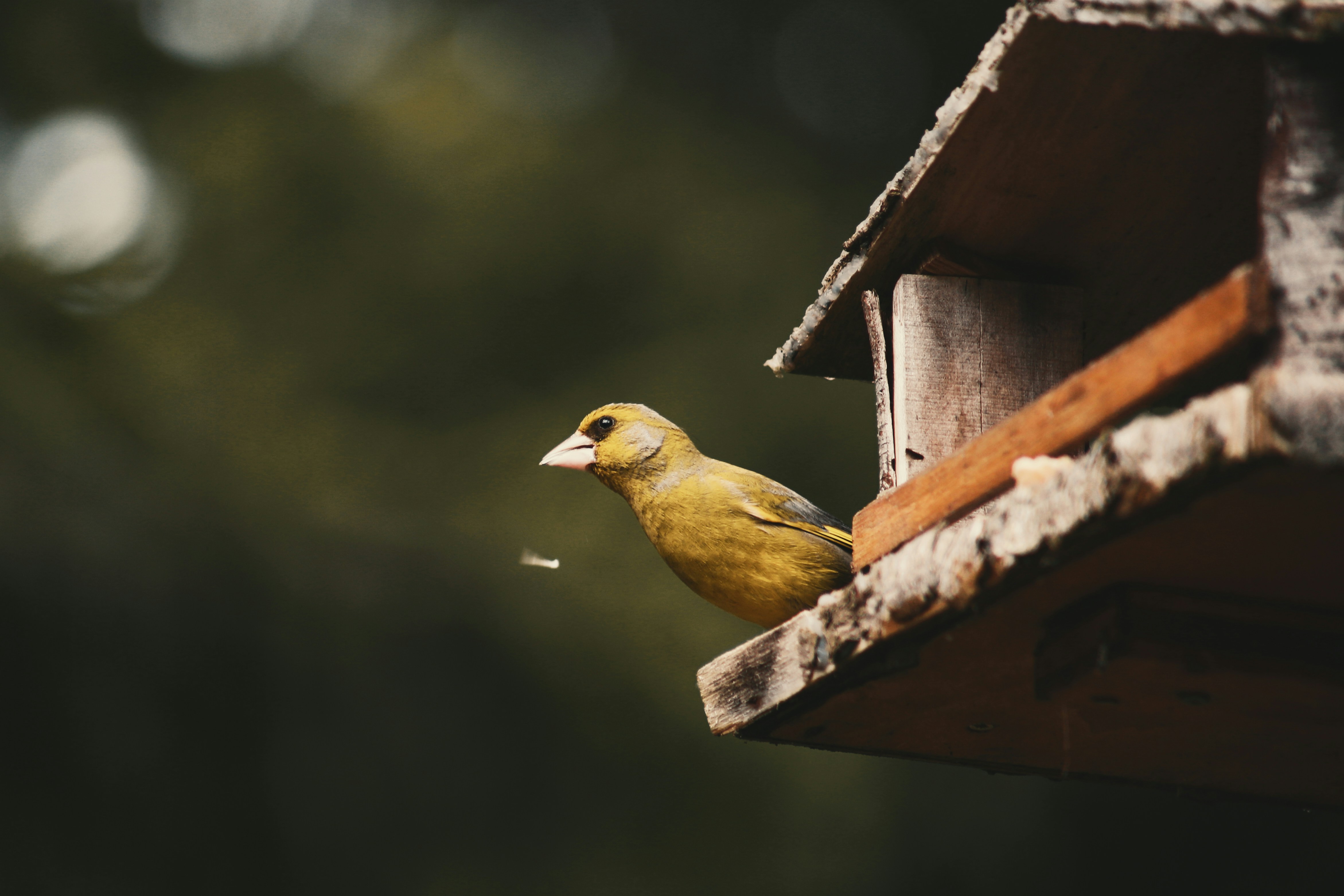 Photo by little_anne