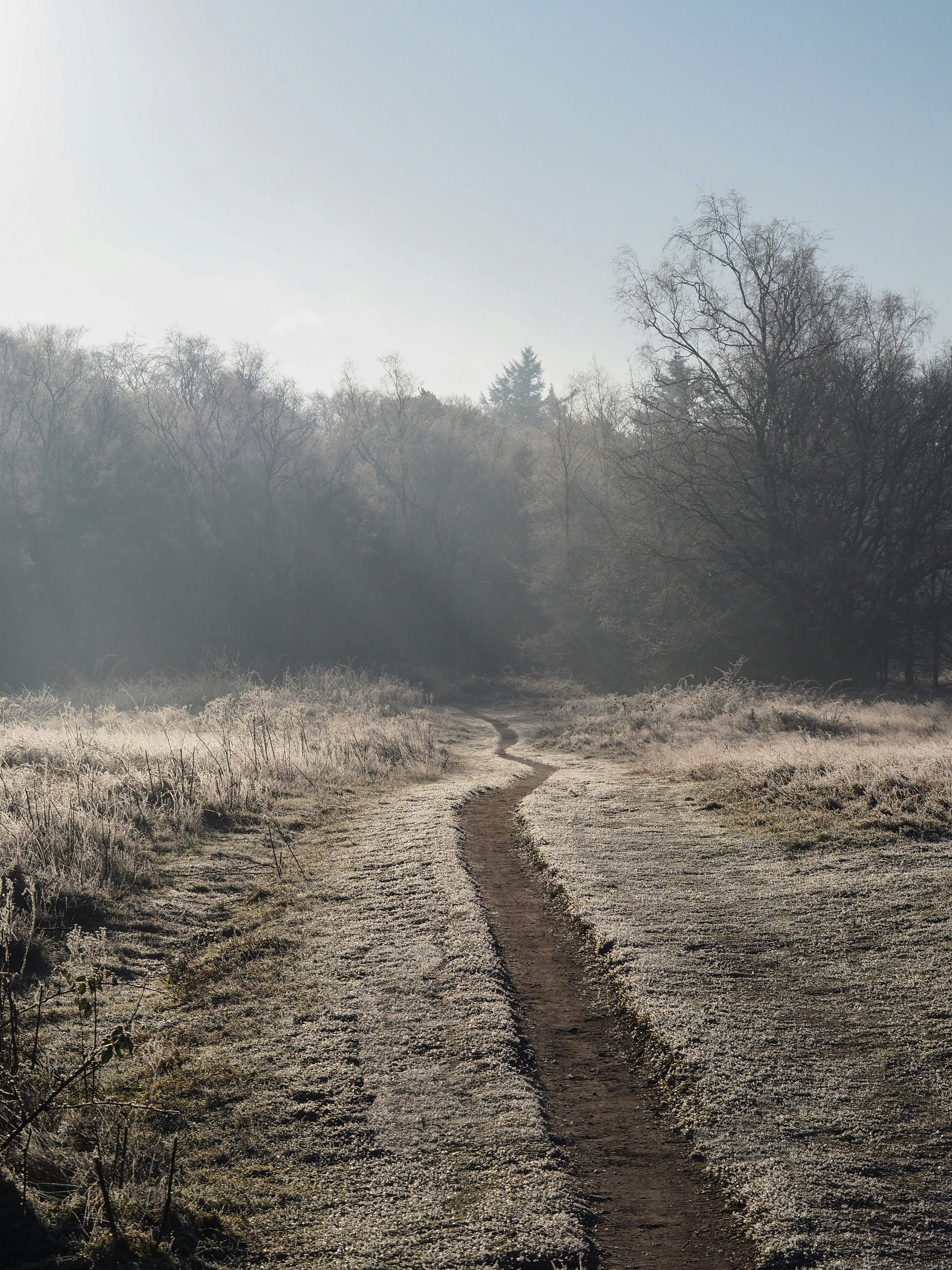 Photo by davidgeneugelijk