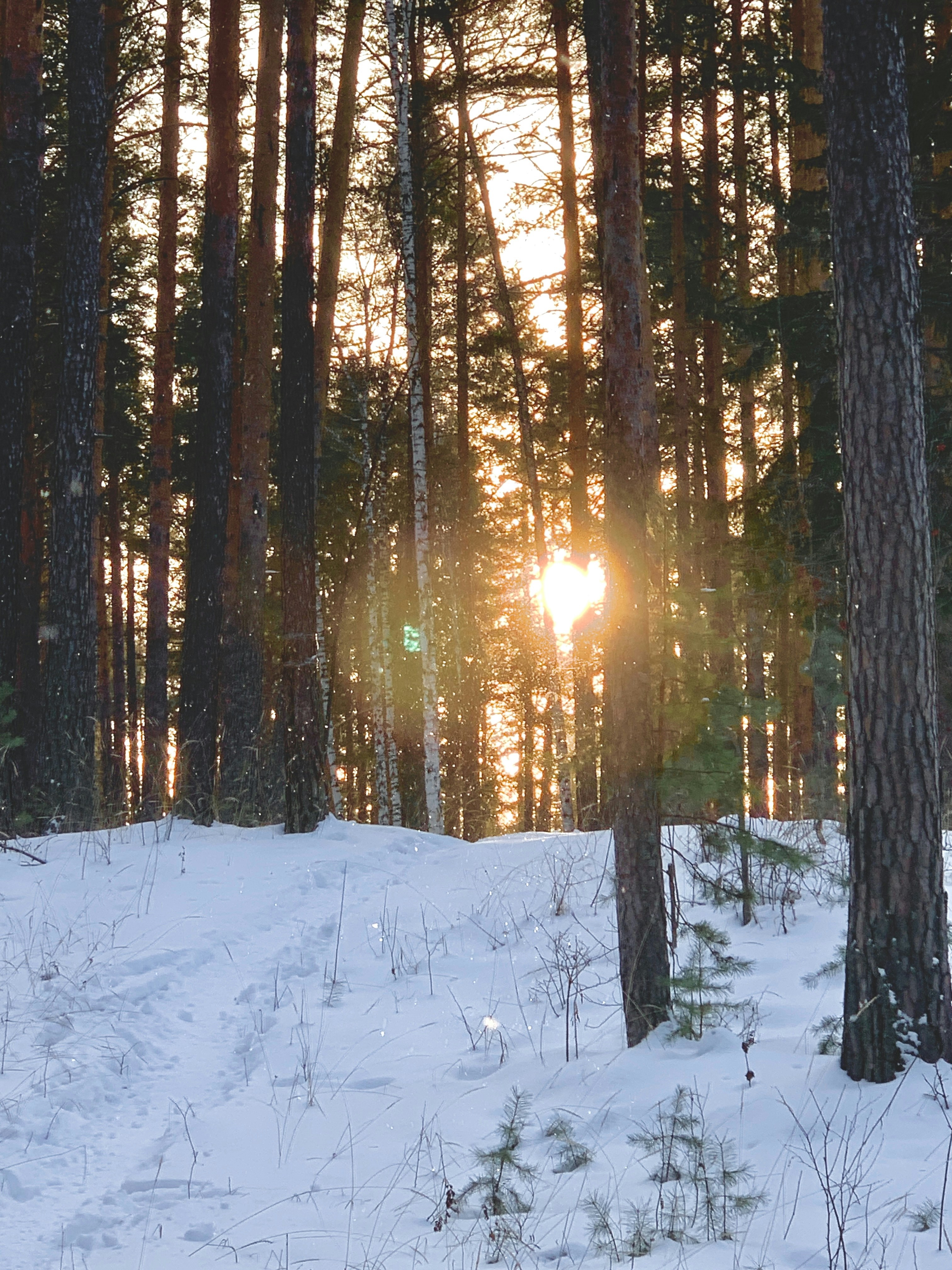 Photo by threez_opel