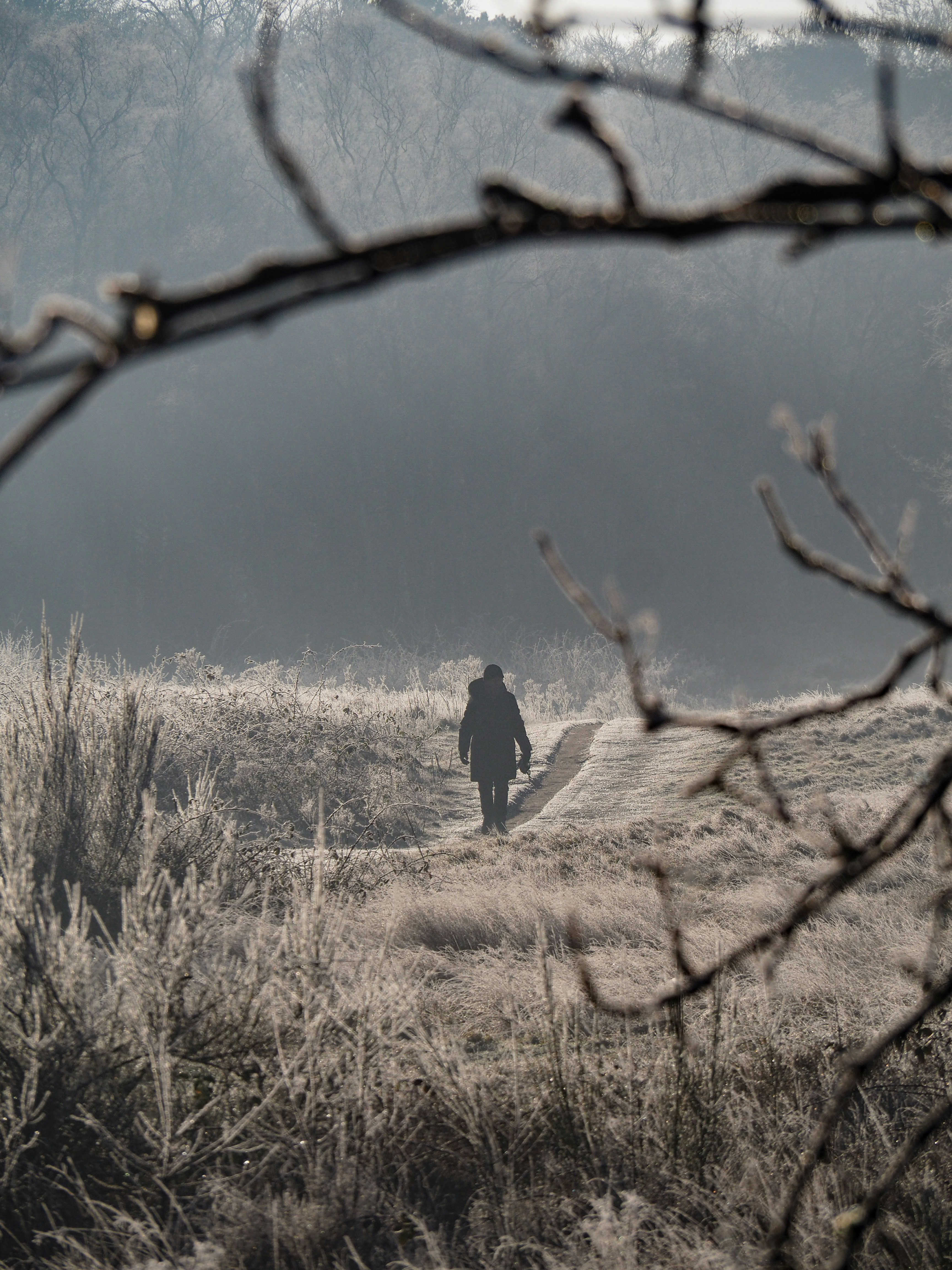 Photo by davidgeneugelijk